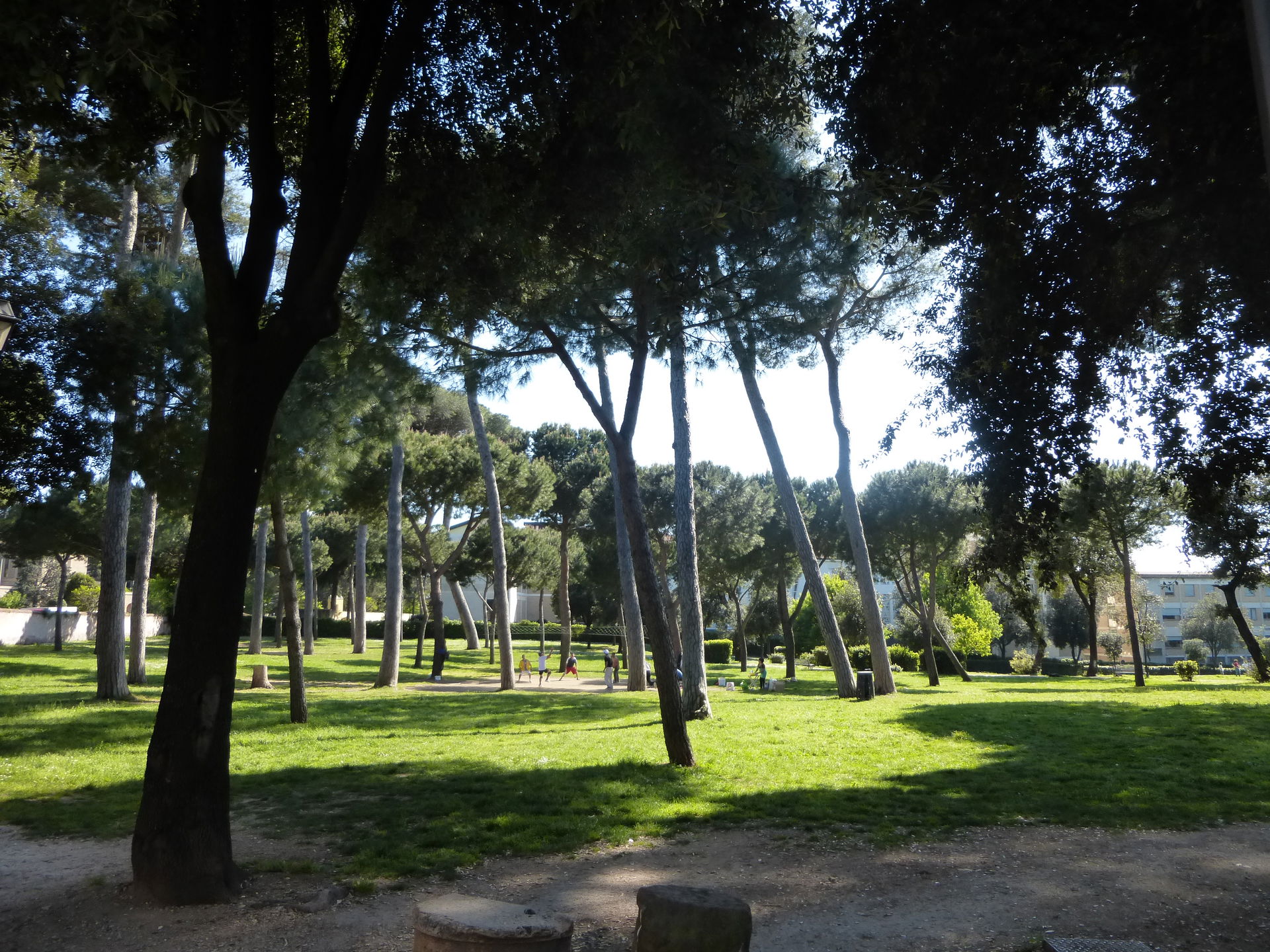 Roma, villa Carpegna, il parco.