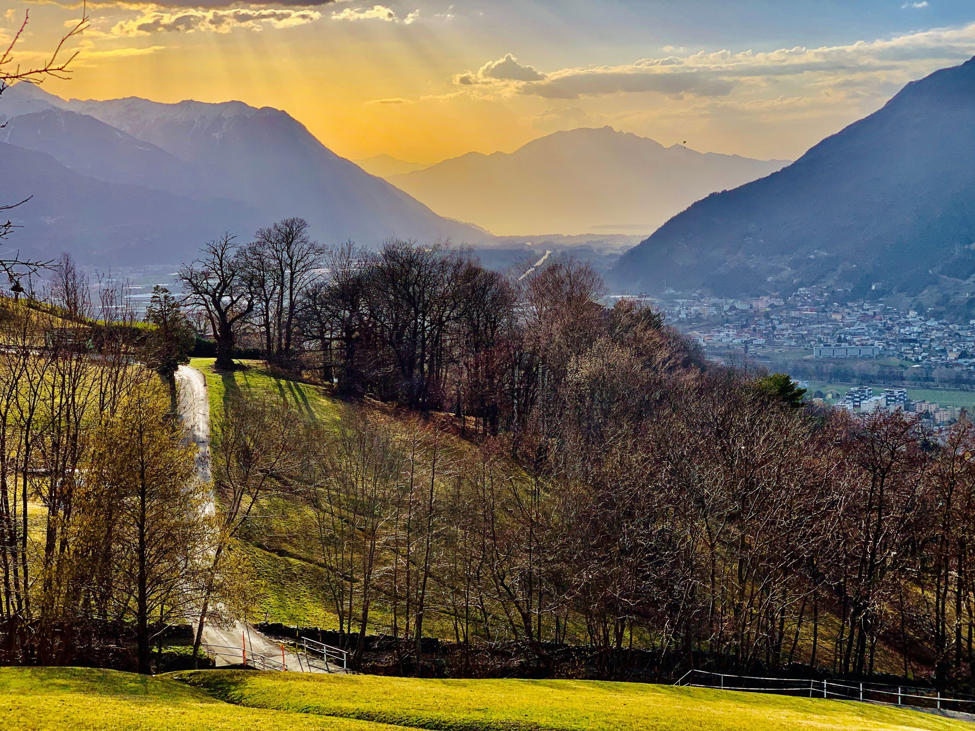 Bellinzona rays