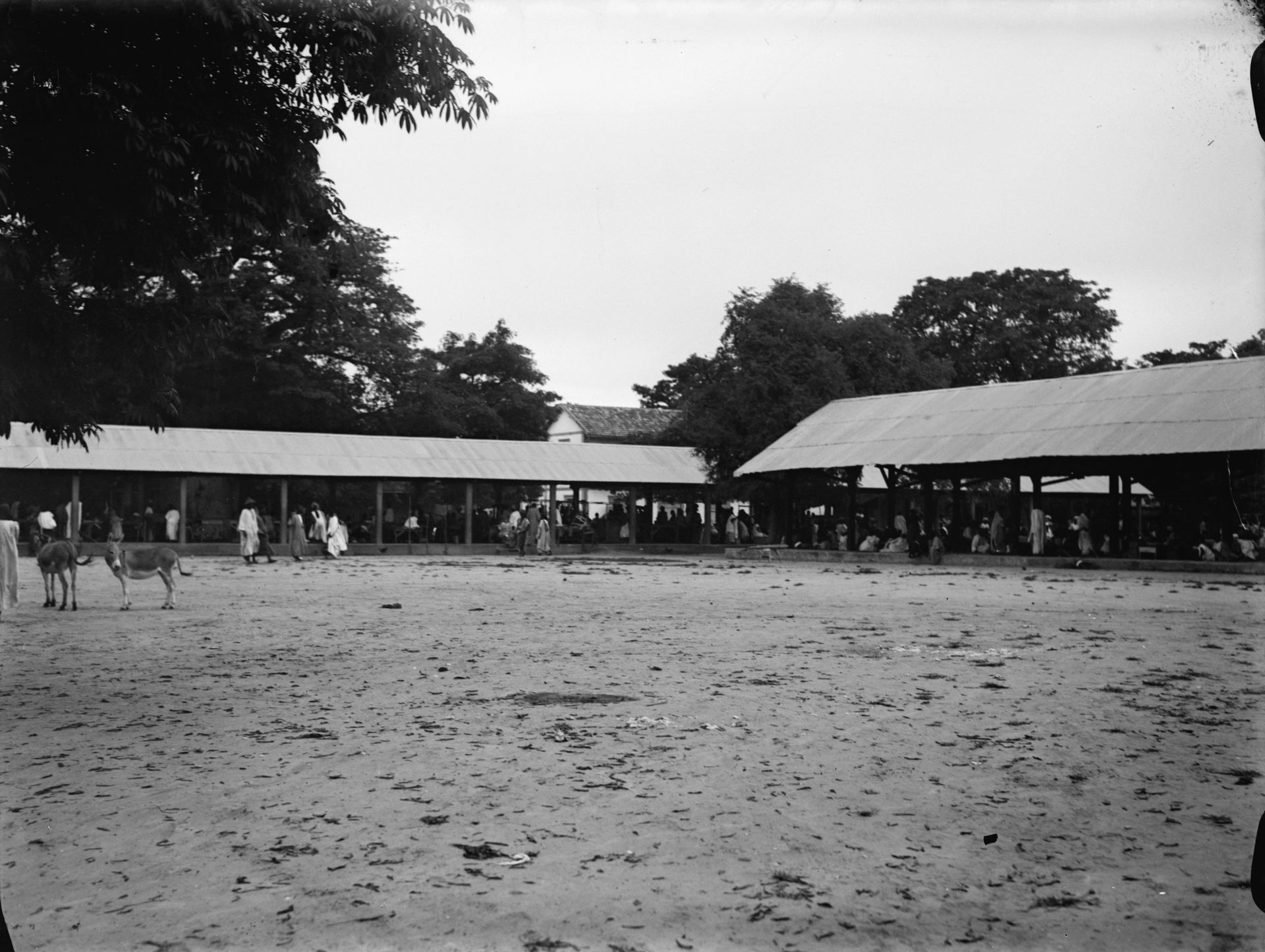 Sujet : Marchés
Agronomie -- Histoire
Commerce de détail
Sénéga…