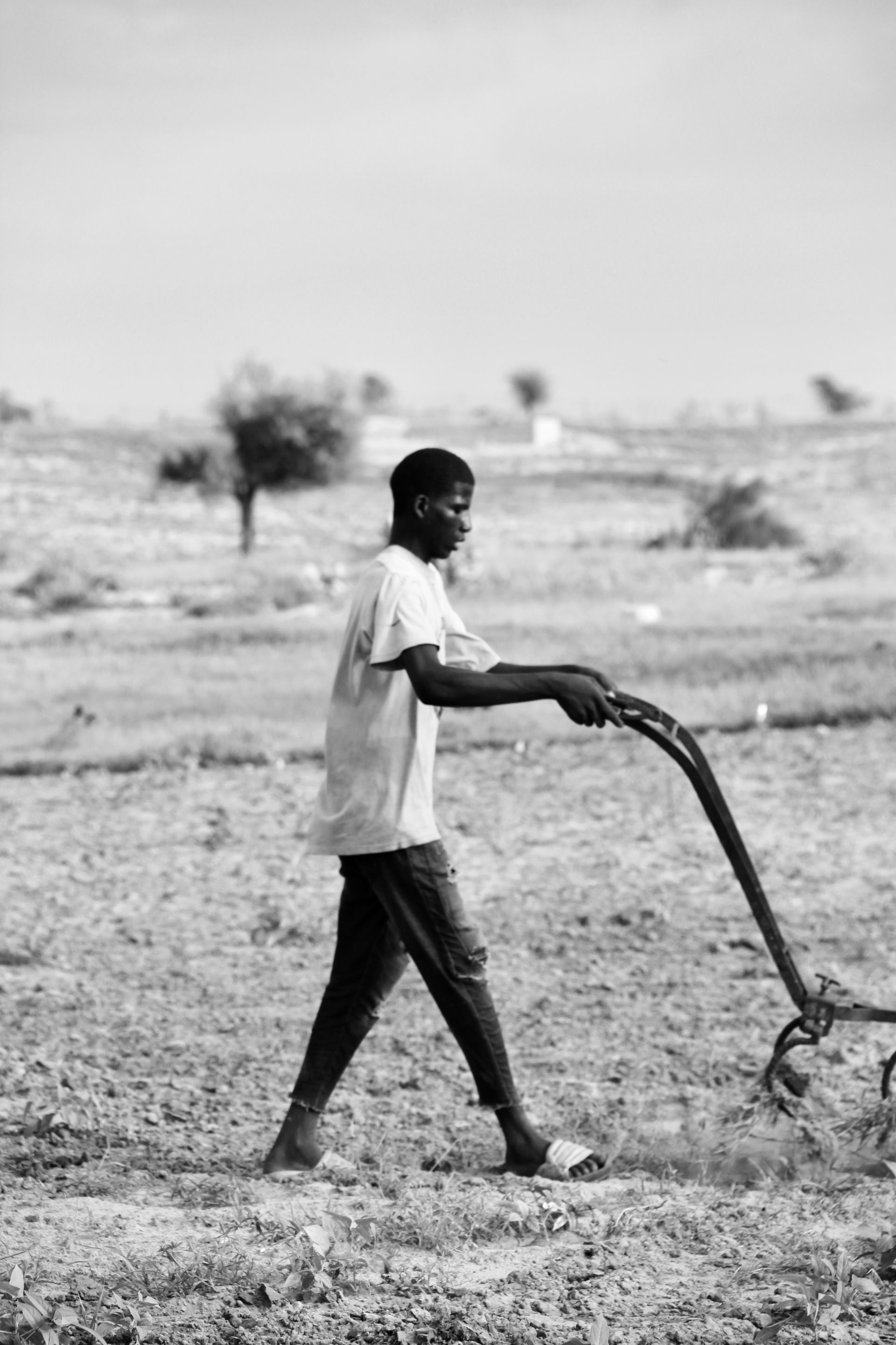 This is an image with the theme "Farm to Plate" from: