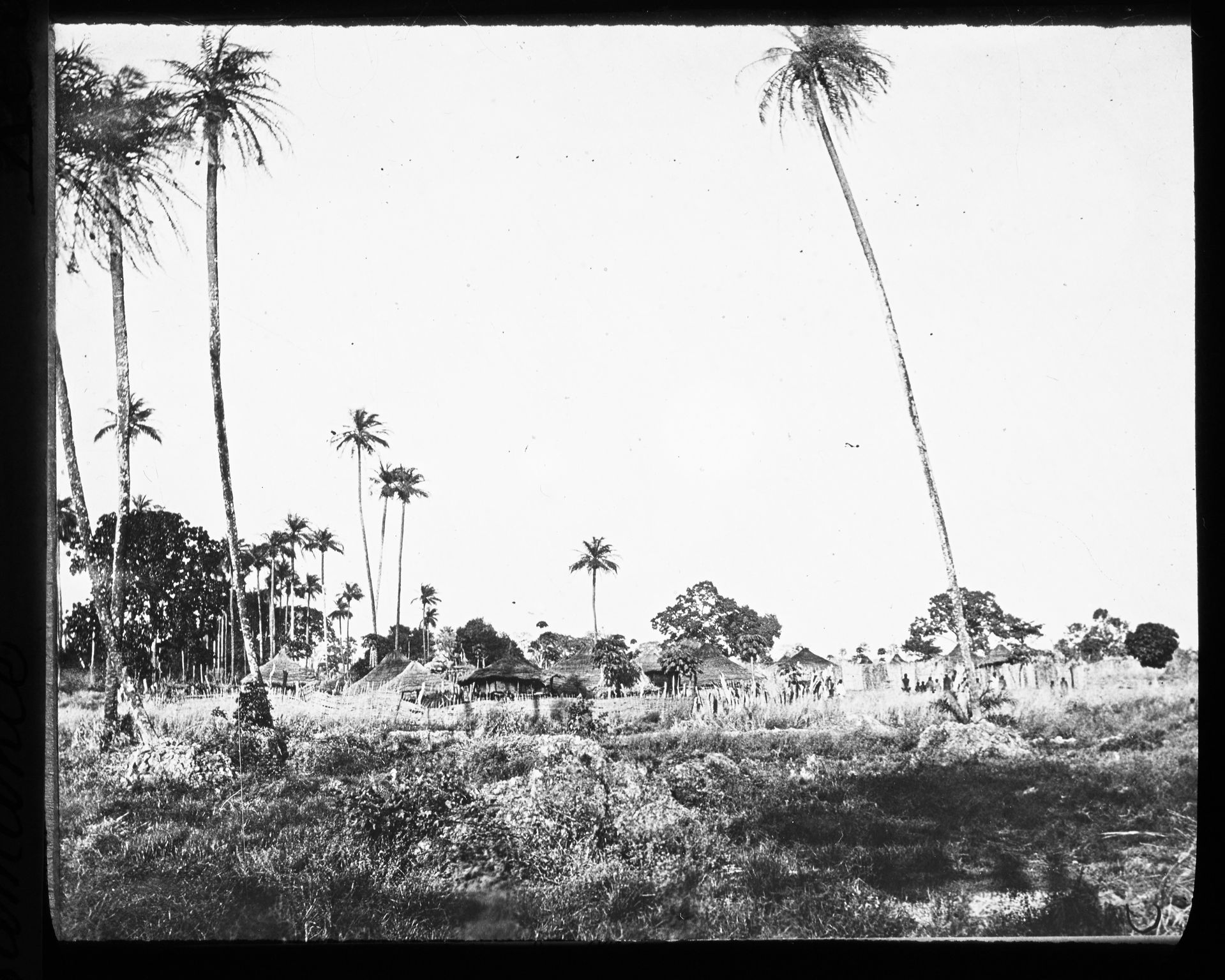 Sujet : Villages -- Sénégal
Cases (habitations) -- Sénégal
Palm…