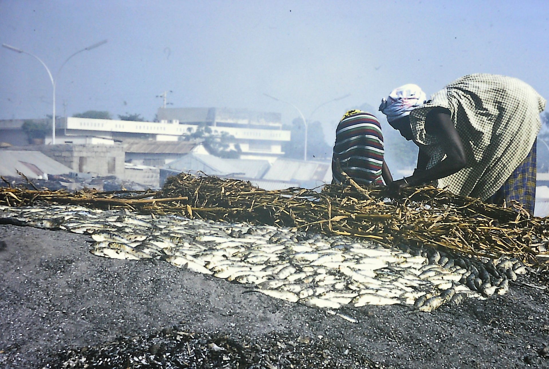 Séchage du poisson à M'bour au Sénégal (scan d'une diapo de 197…