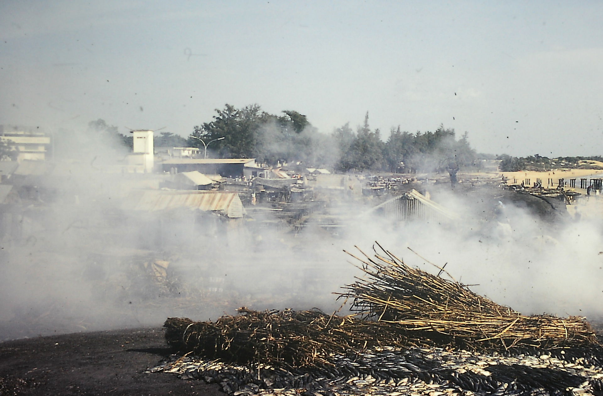 Séchage du poisson à M'bour au Sénégal (scan d'une diapo de 197…