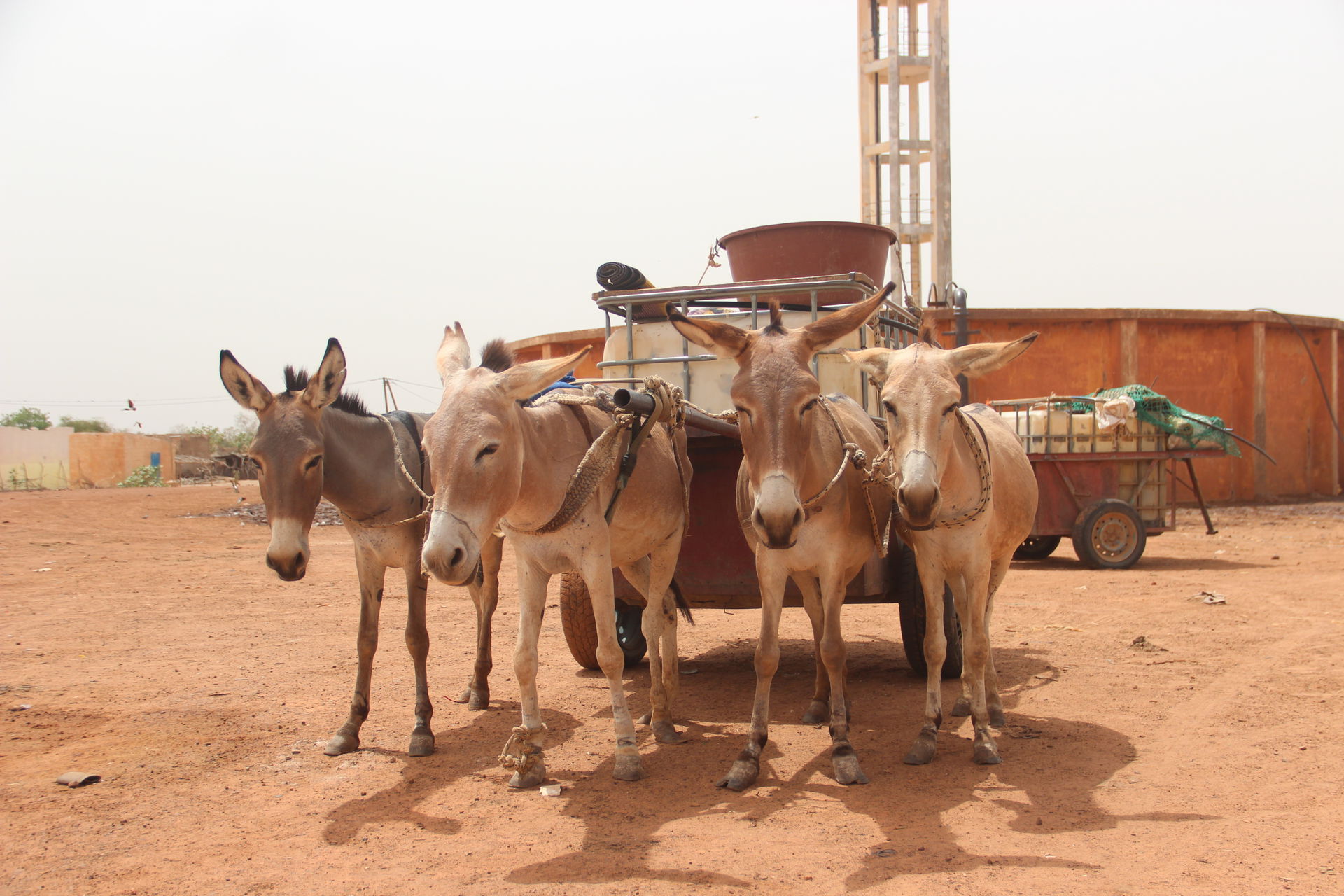 This is an image with the theme "Africa on the Move or Transpor…