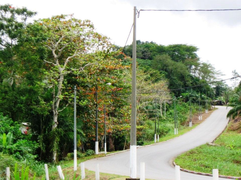 Route verdoyante de Kango
