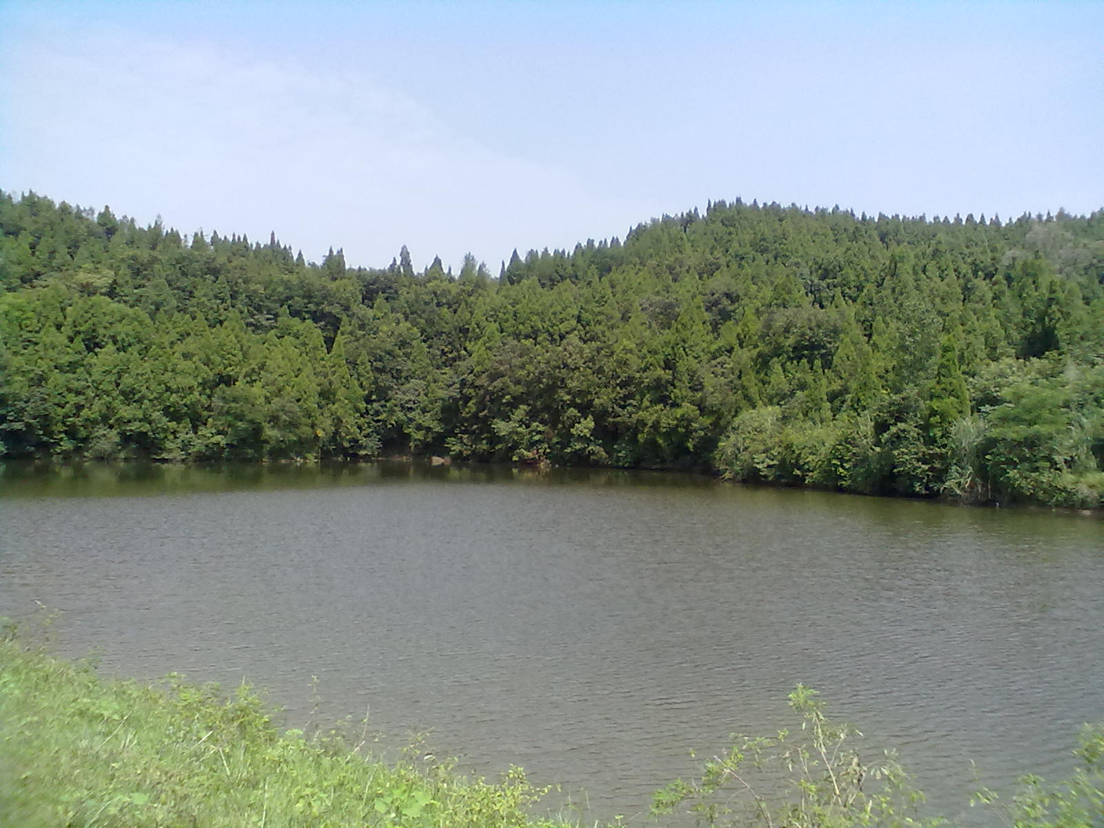 a corner of zhaojiawan Reservoir in baoma town in summer
