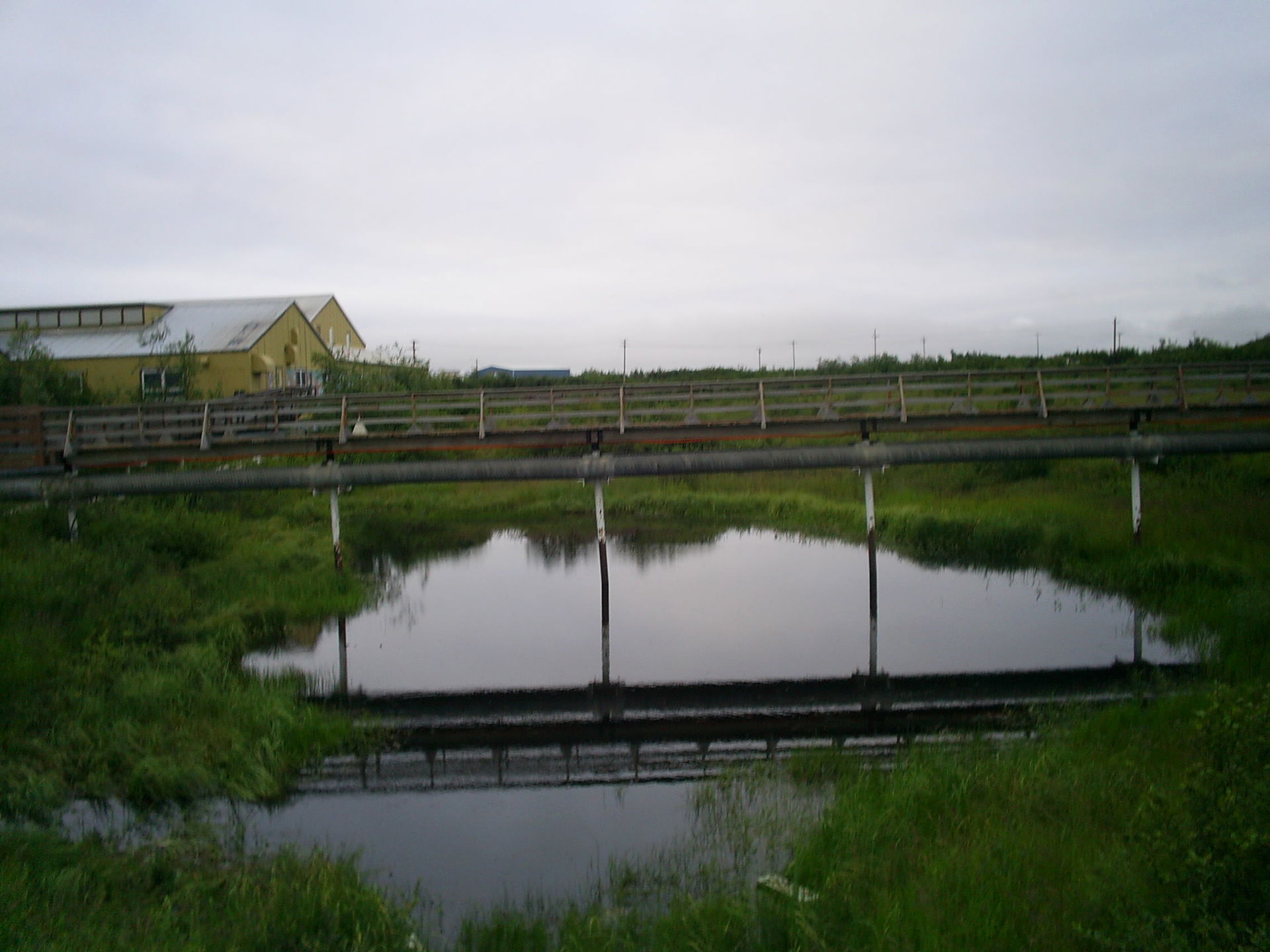 This is a photo of a walkway in Bethel, Alaska, taken in August…