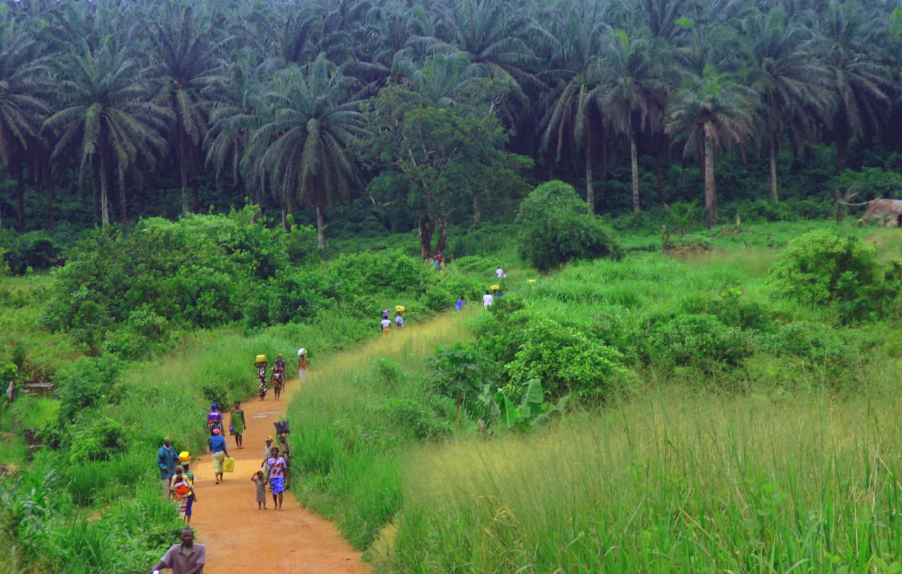 Sierra Leone - The road from Kenema to Kailahun District is jus…