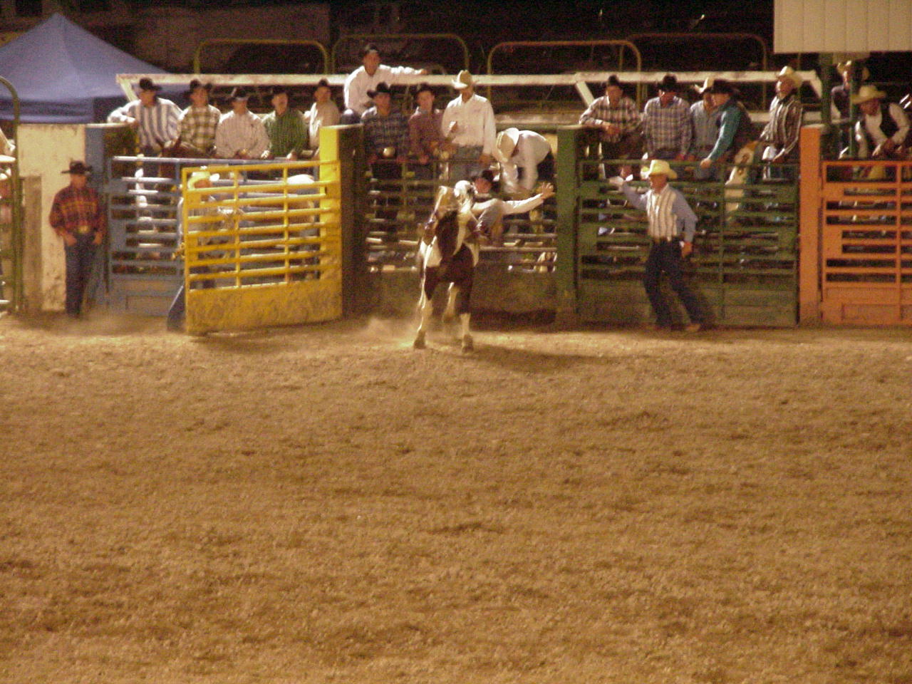 Blackfoot rodeo