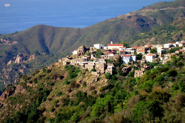 Kambia
