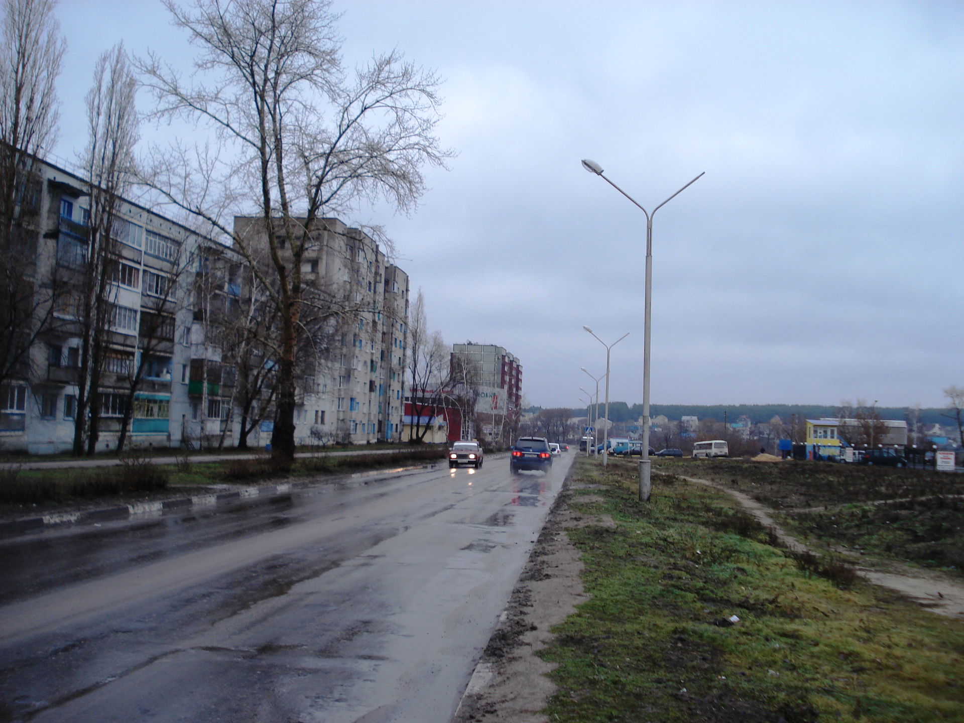 Улица Космонавтов в Нововоронеже