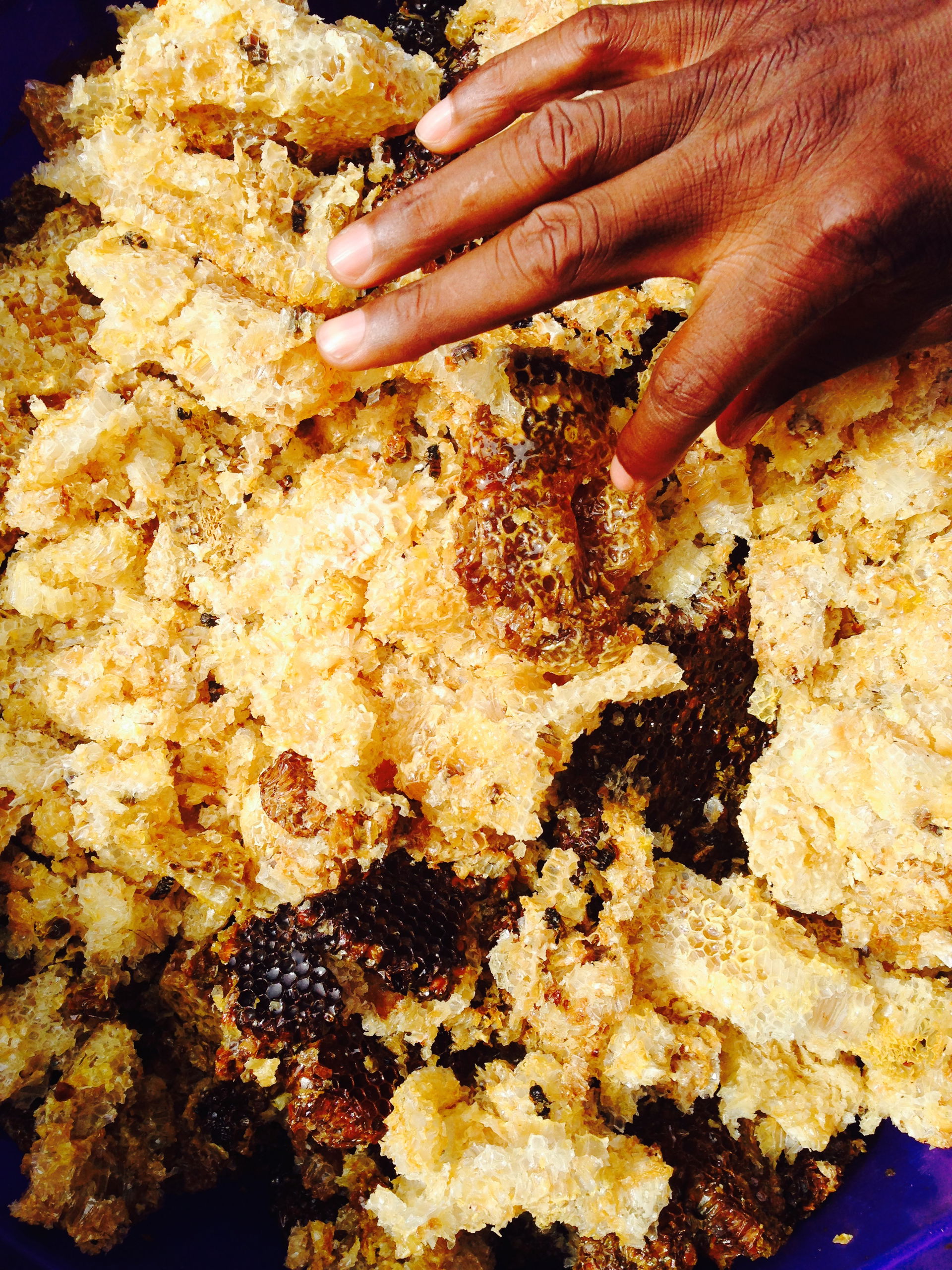 This is an image of food from