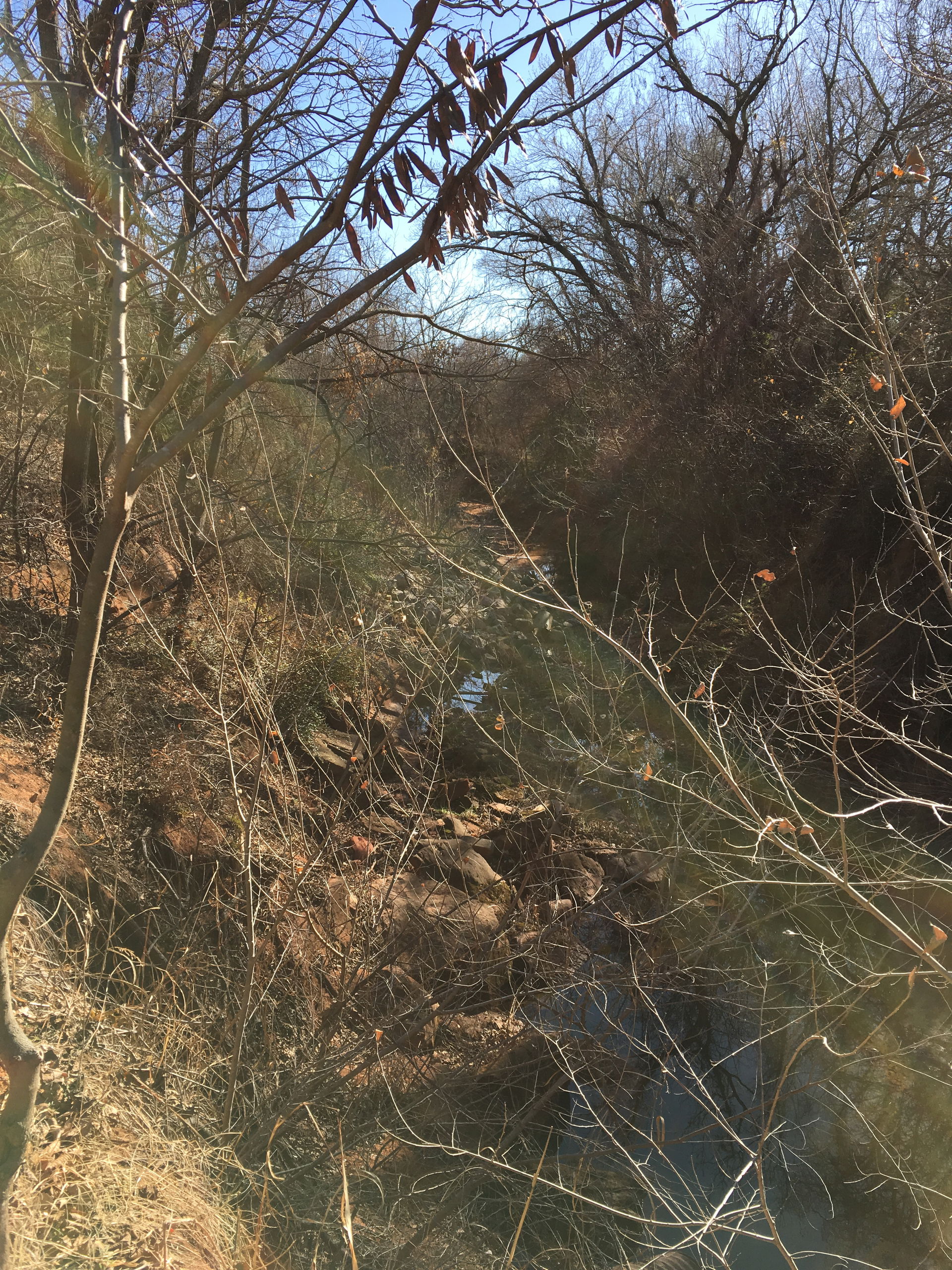 Spring Creek is a tributary of Deep Fork River. It runs south o…