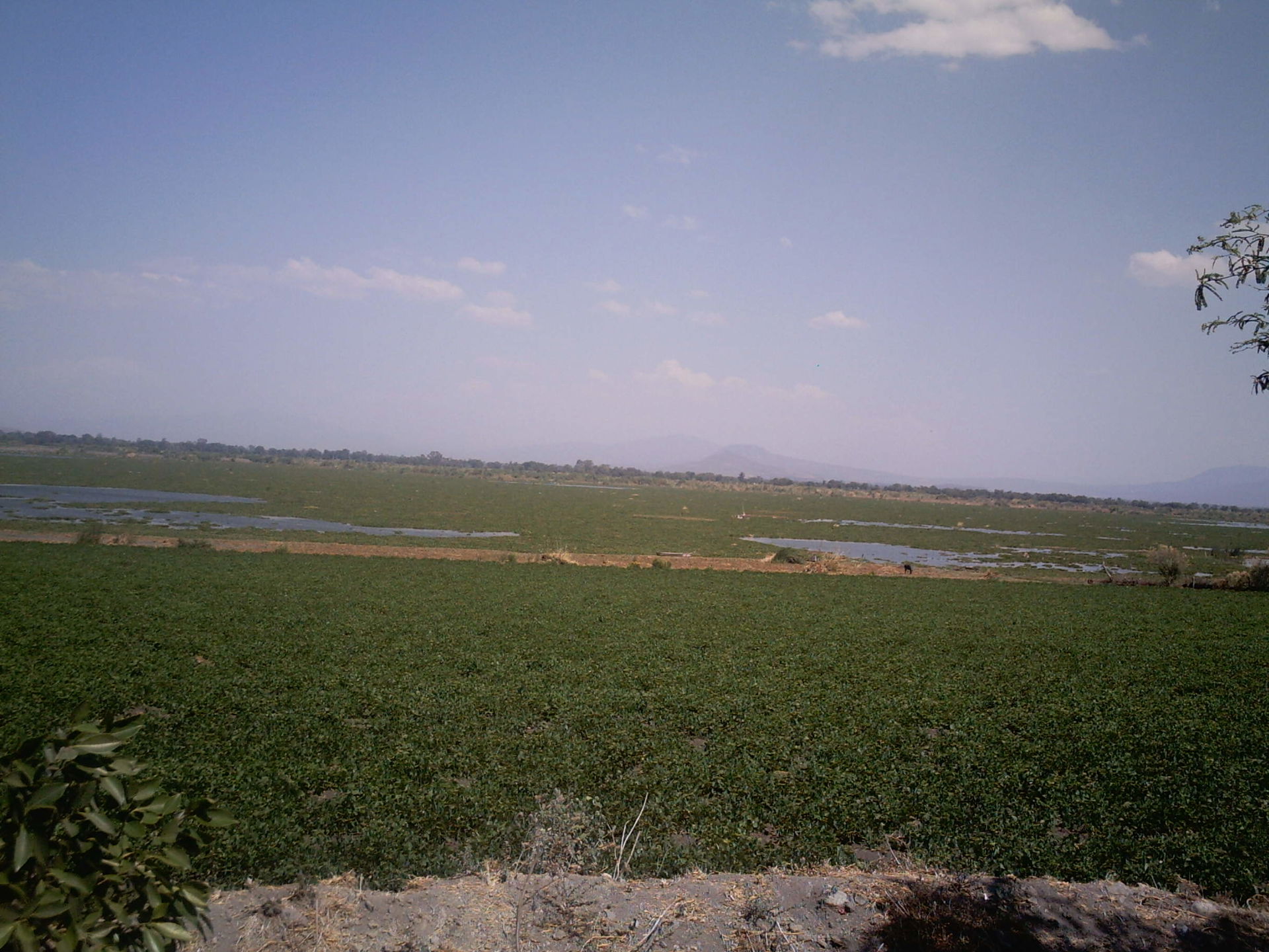 CERCA DE LAGUNA DE YURIRIA GTO (BY LION)