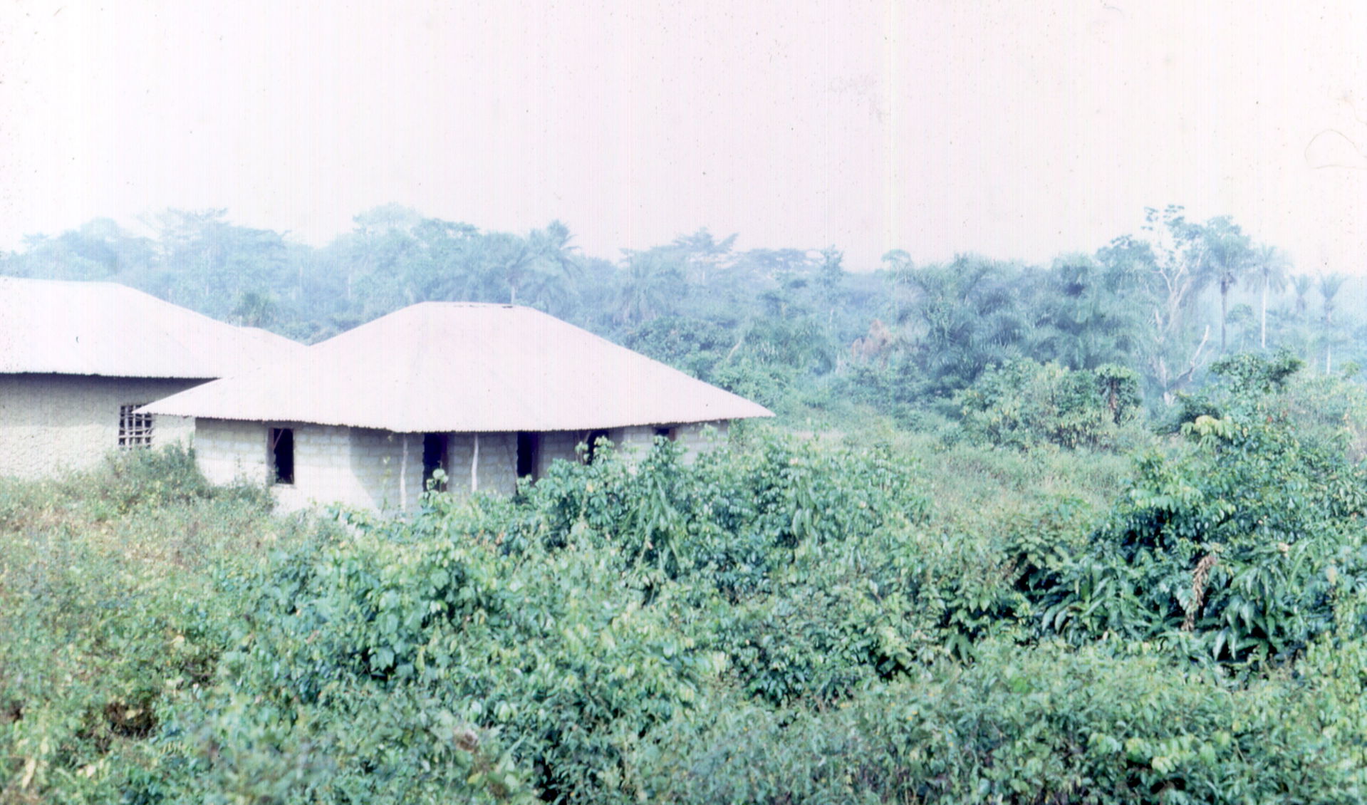 Photo taken in December, 1967