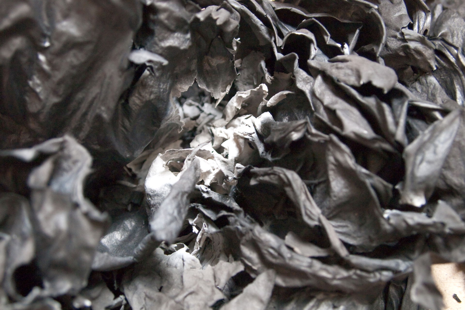Paper ash. Burnt paper. Rostov-on-Don, Russia.