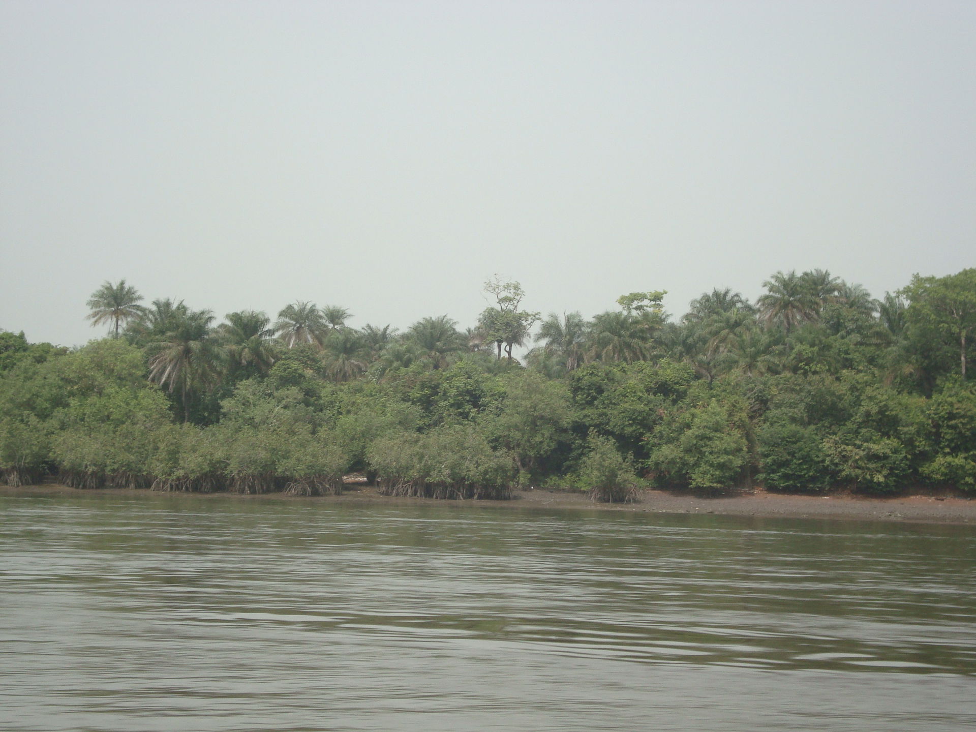 Port Loko River - Feb 2011