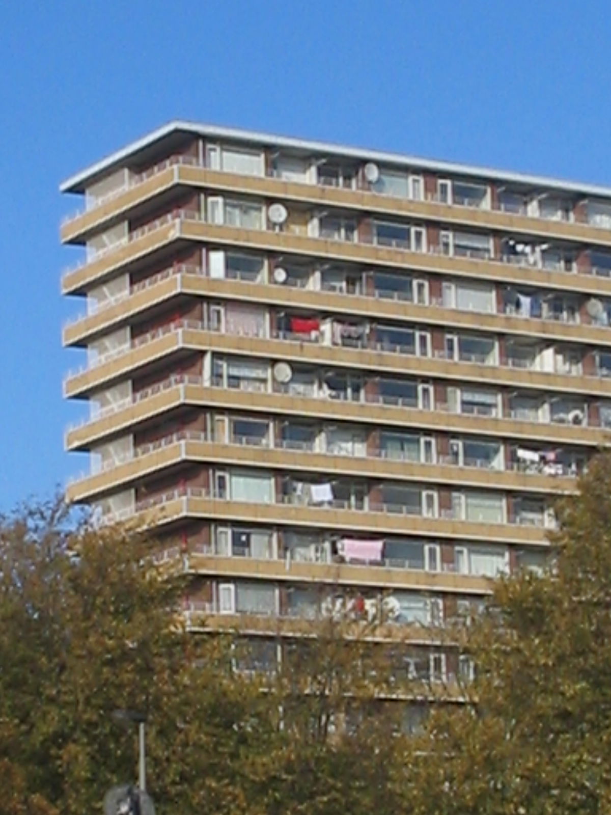 flat in Delft