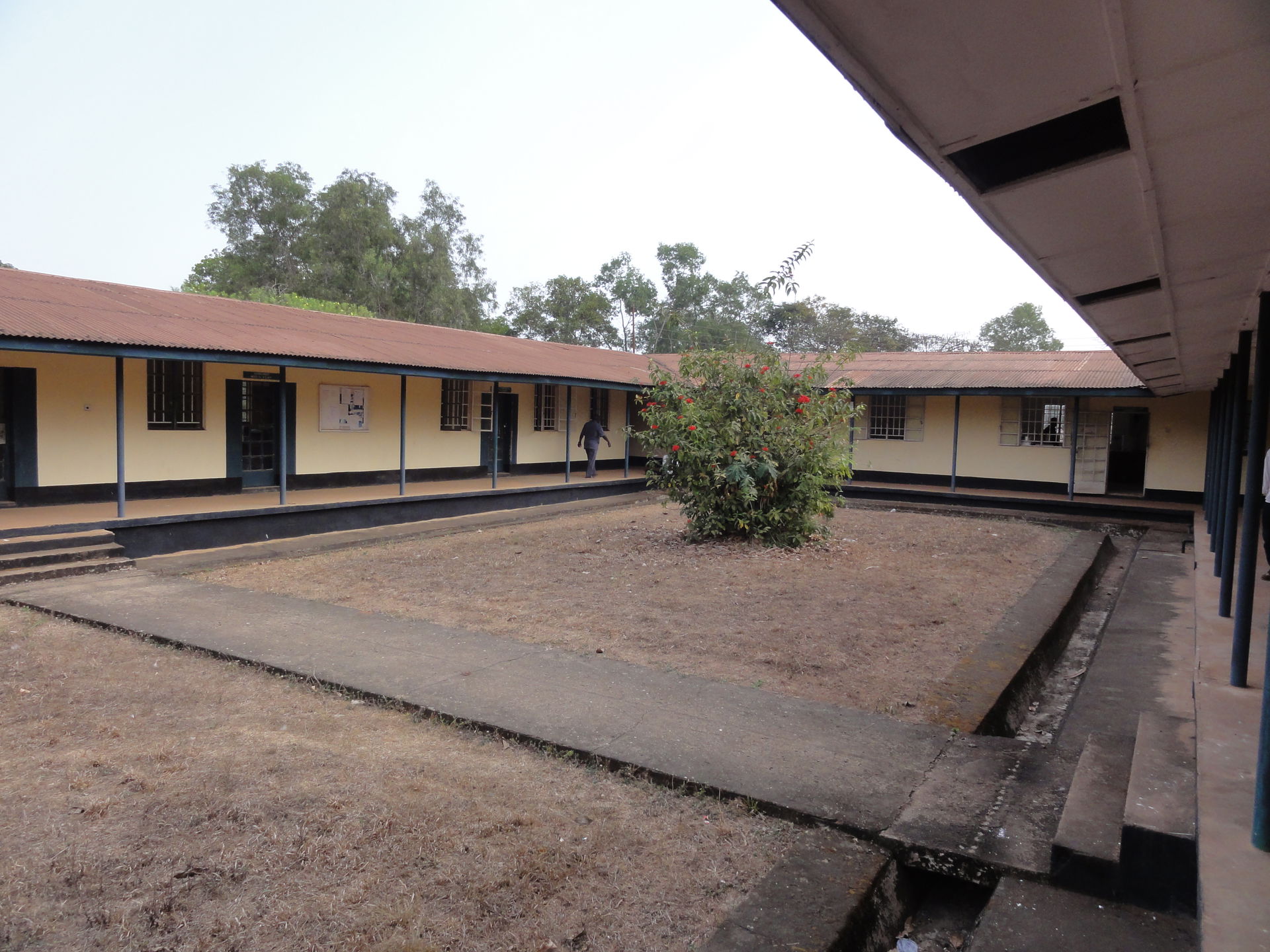 SLARI's rice research station in Rokupr, Sierra Leone