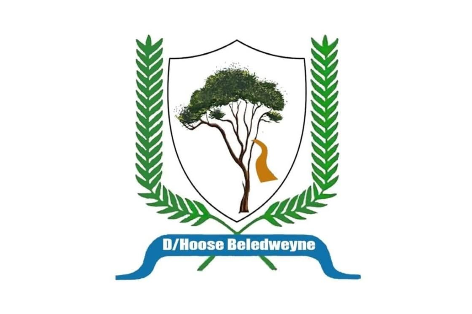 Flag of Beledweyne Local Government, Somalia