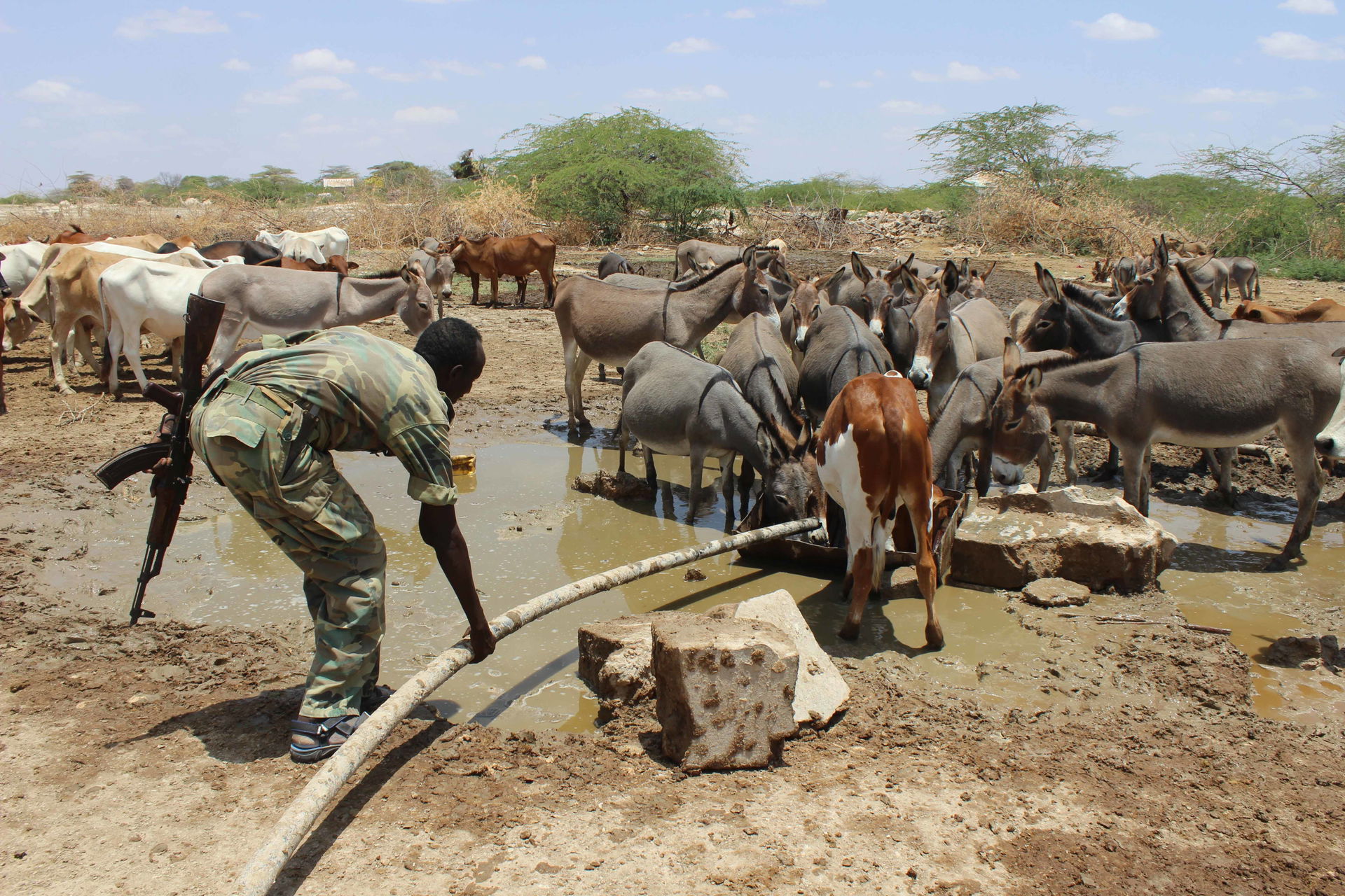 A soldier from the Somali National Army extends a water pipe to…