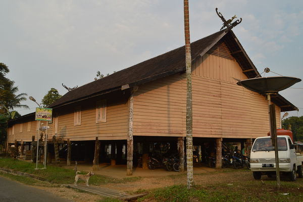 Luuq