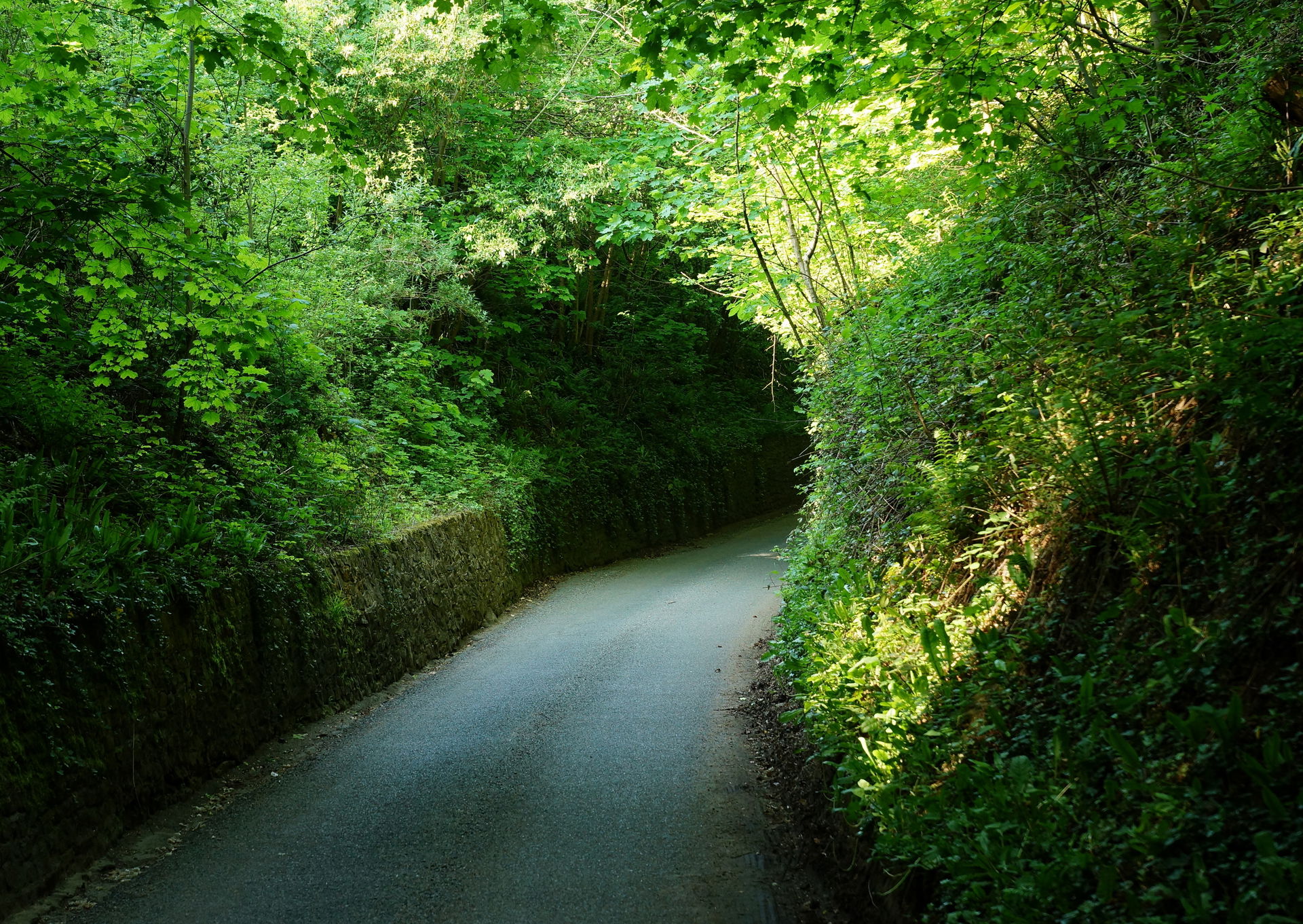 Tuesley Lane, Godalming, Surrey