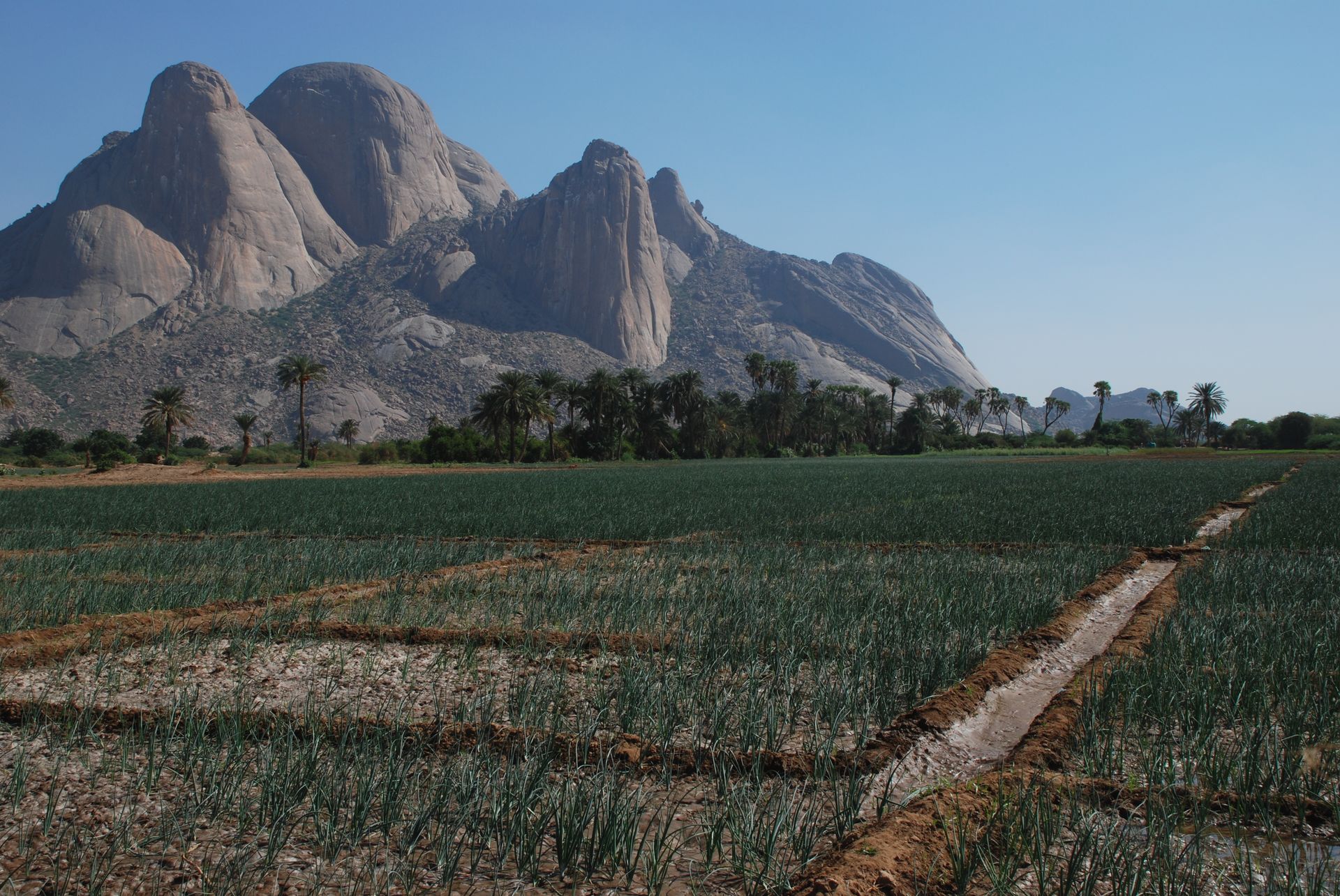 Granitic domes of the Taka Mountains, with Totil Mountain, and …