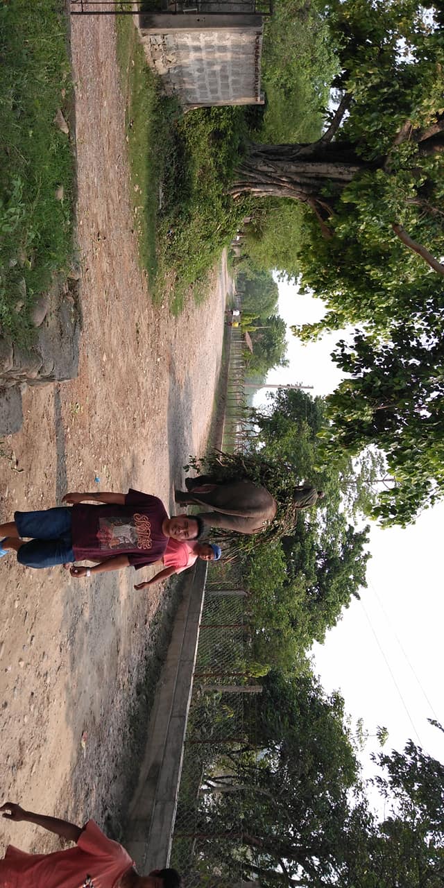 Road view near Narayani River at Island Jungle Resort, Kawasoti…