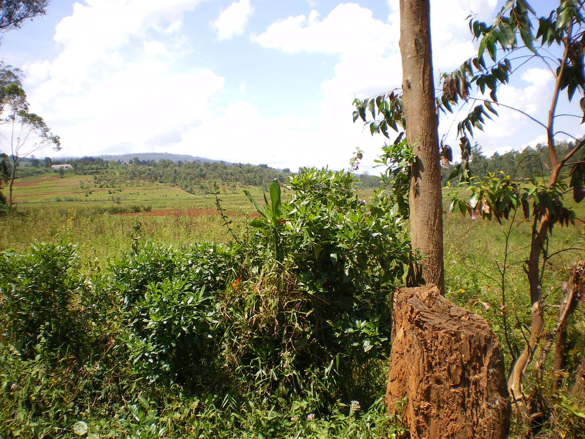 Kayanza province, Burundi (Hubert Schonberg)