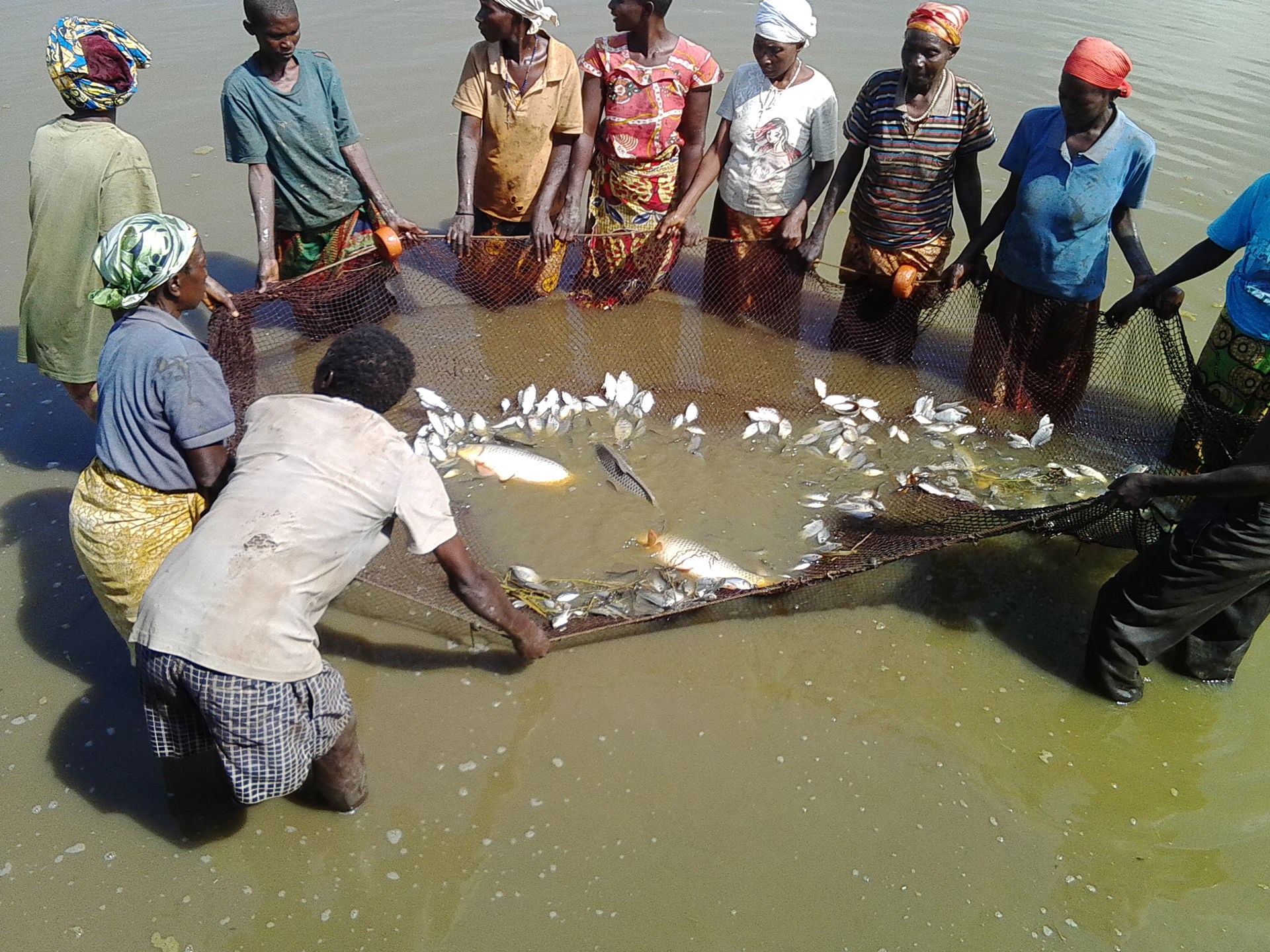 This is an image of "African people at work" from