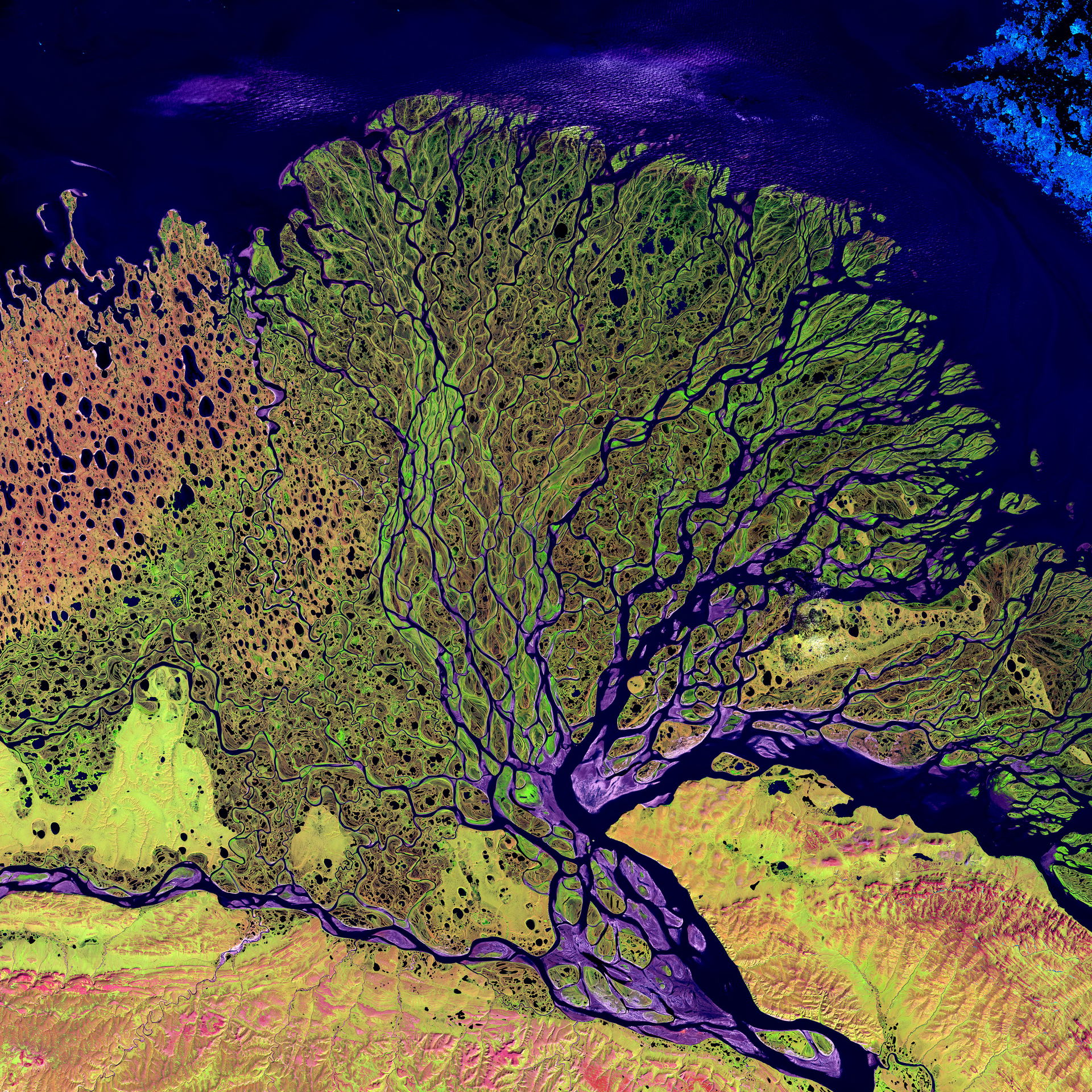 Lena River Delta. False-color composite image made using shortw…