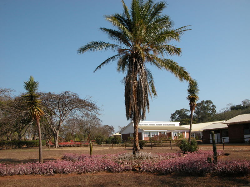 Bunda College of Agriculture (University of Malawi) near Lilong…