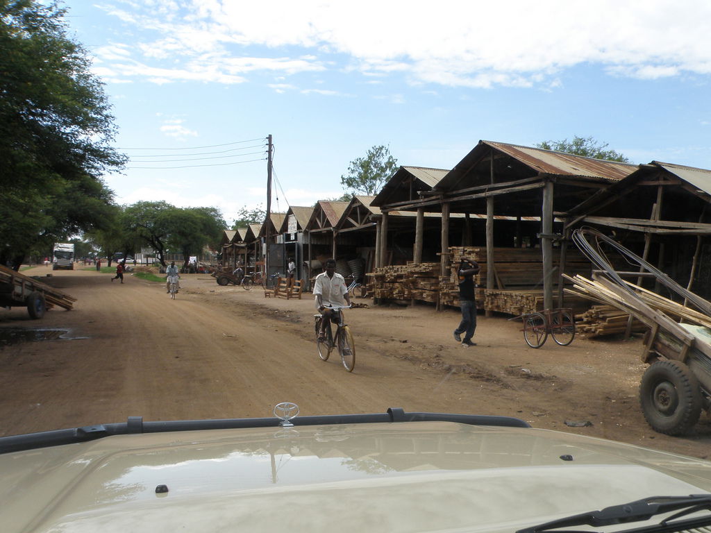 A wood market in Shinyanga town, Tanzania