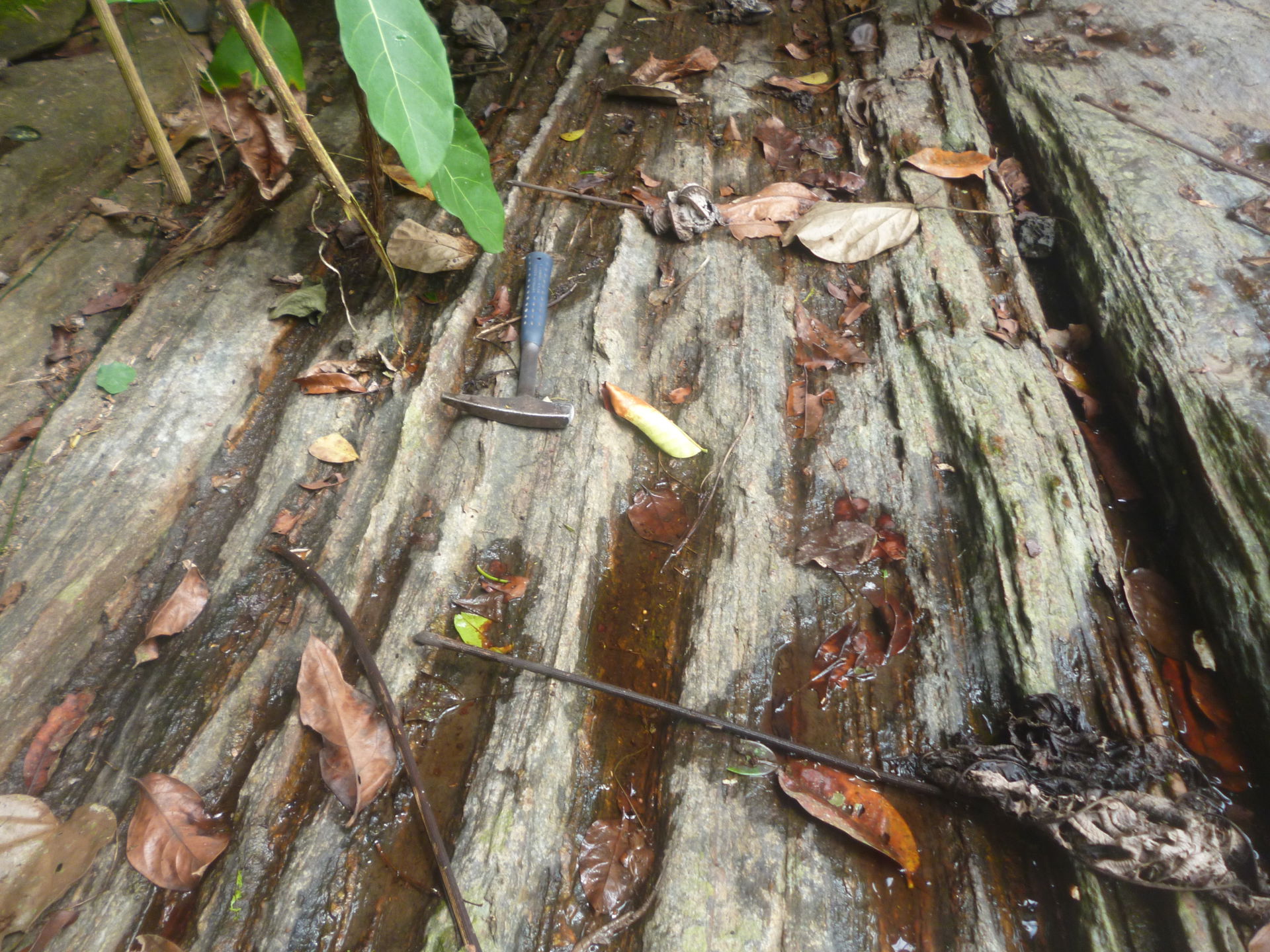 Metamorphic rock along the Cameroon volcanic line, Etam
