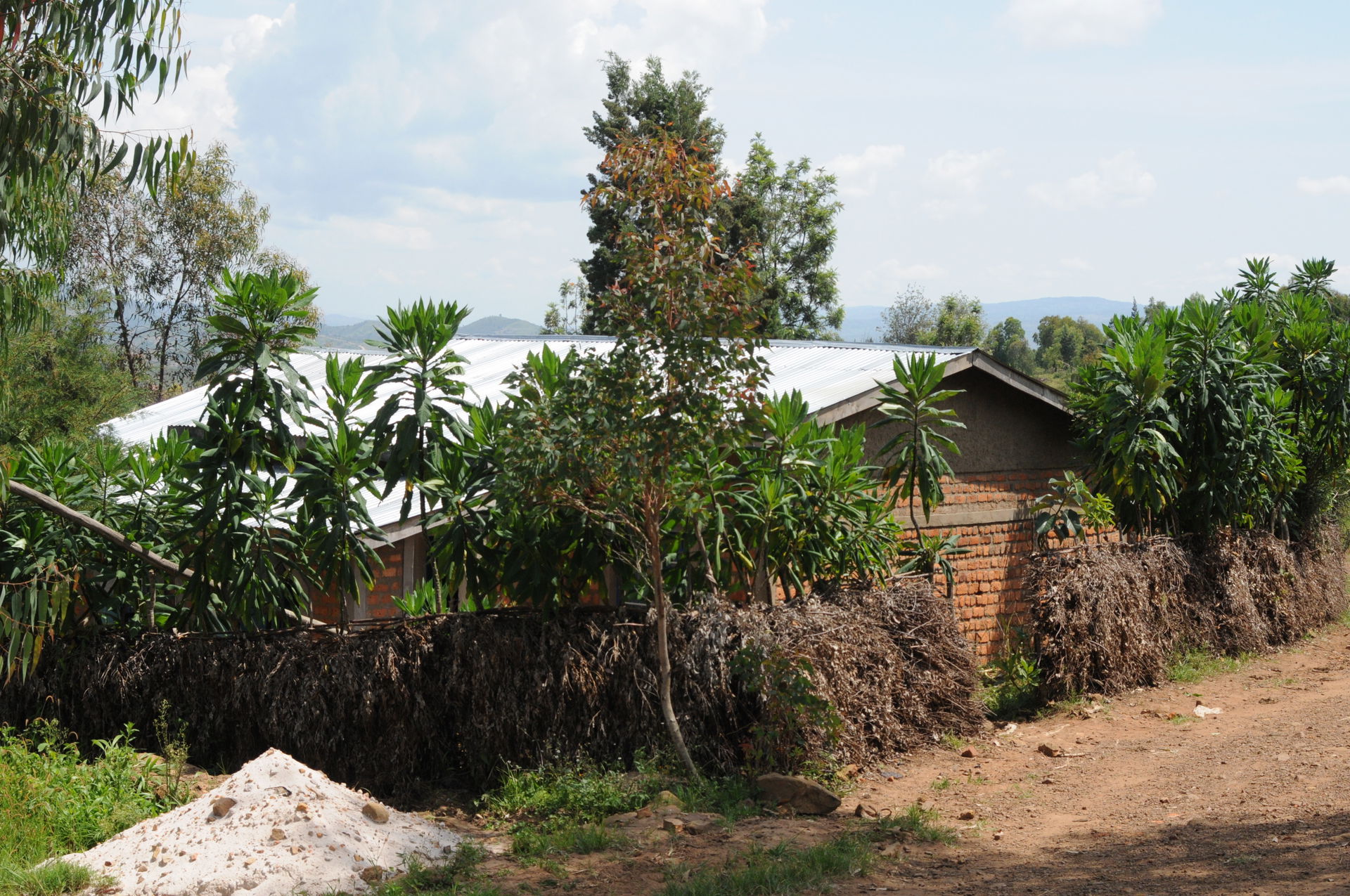 Burundi - Sanitation in Rutana / Assainissement à Rutana