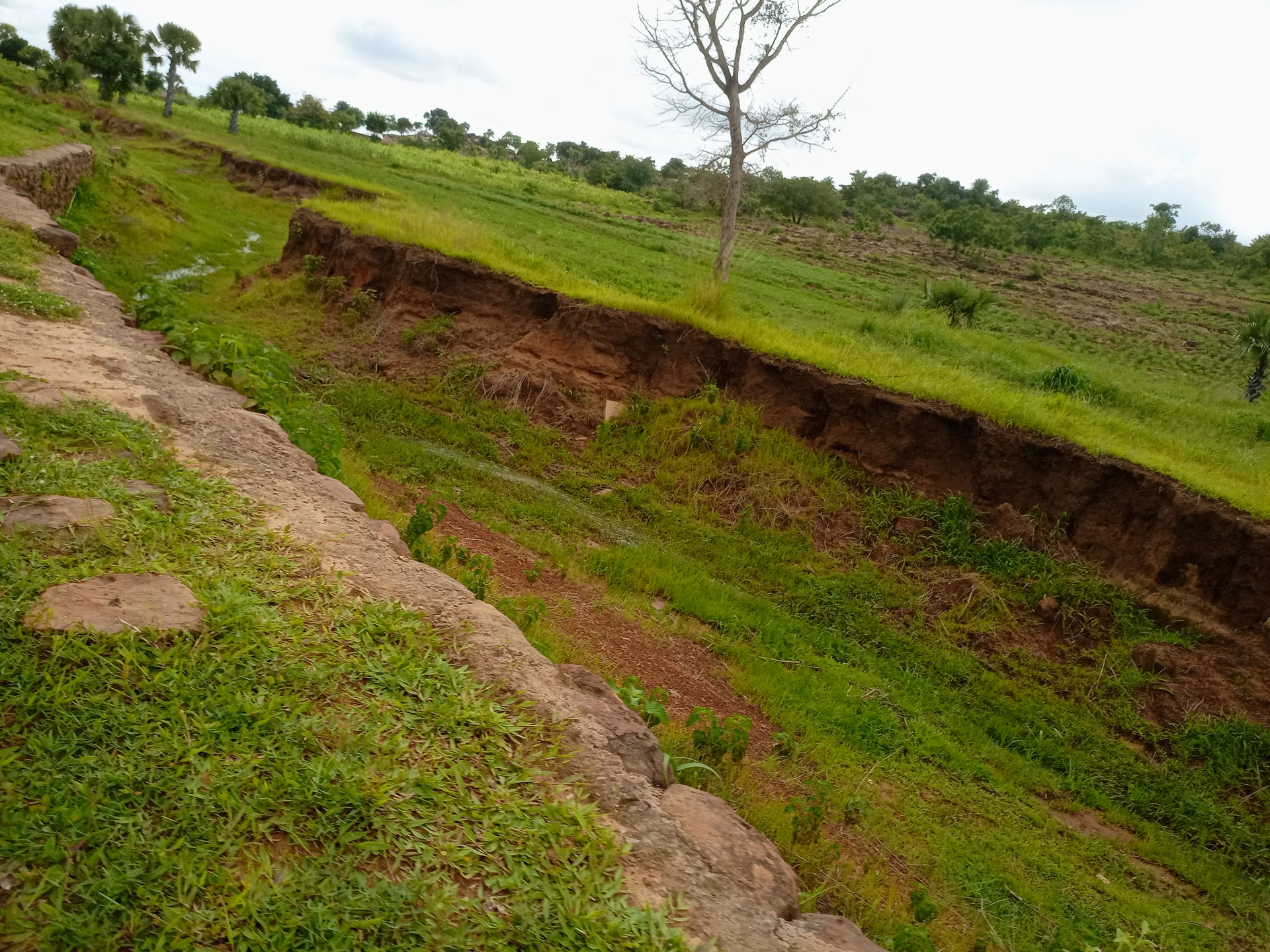 nature Dapaong Togo