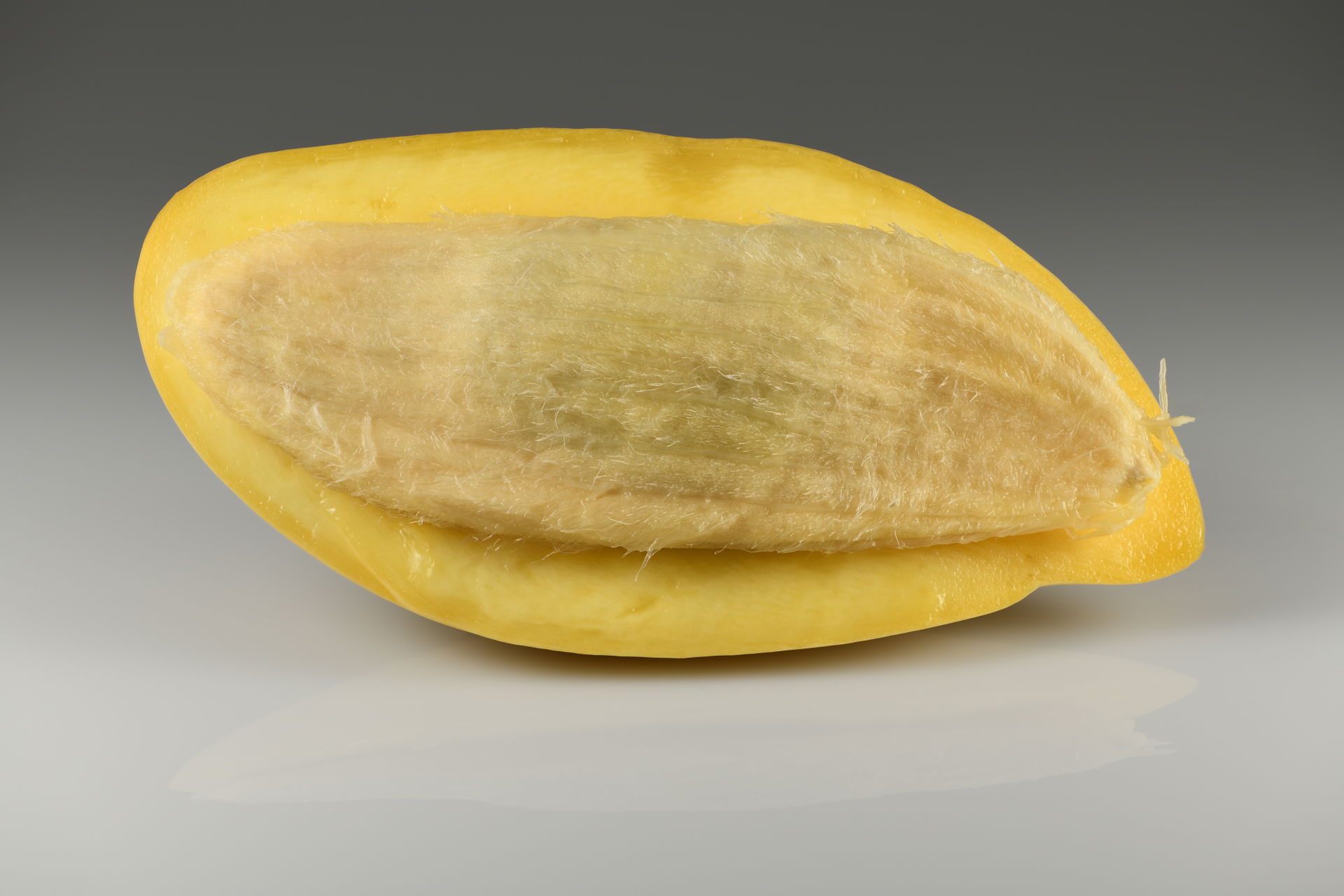 Mango fruit 'Nam Dok Mai' cross section. Grown in Thailand