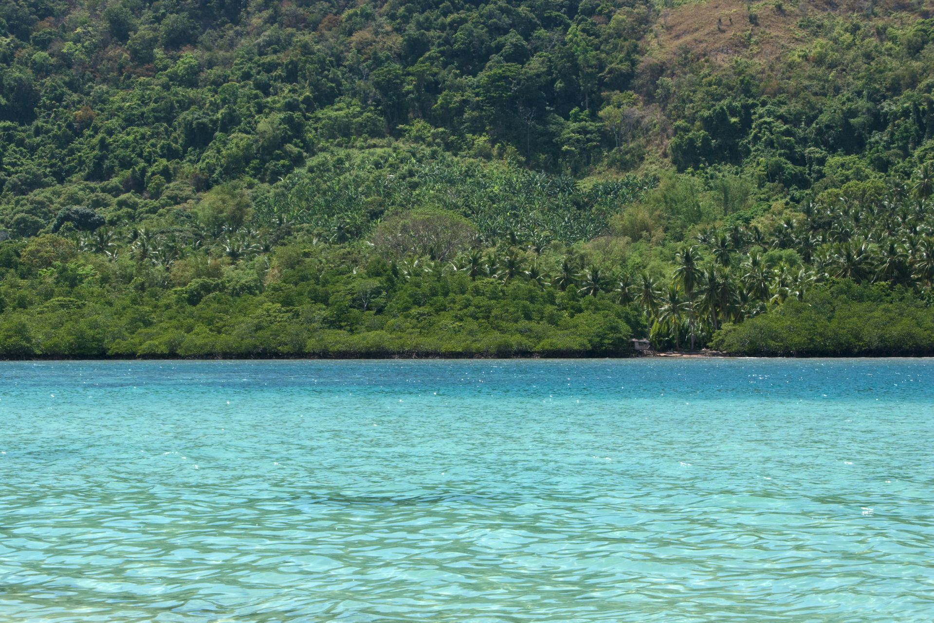 Desert tropical island. Part of minor tectonic Sunda Plate. Isl…