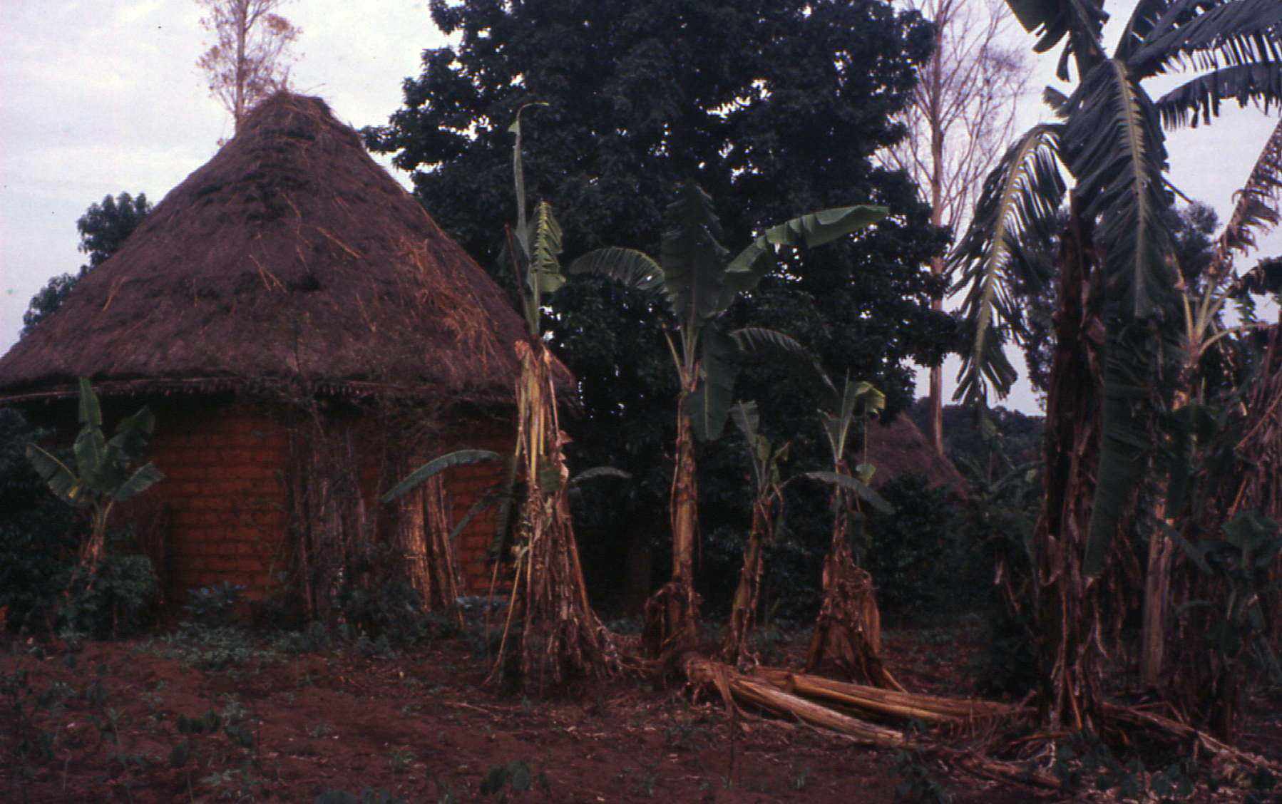 Case bamiléké à Bafoussam en mars 1973