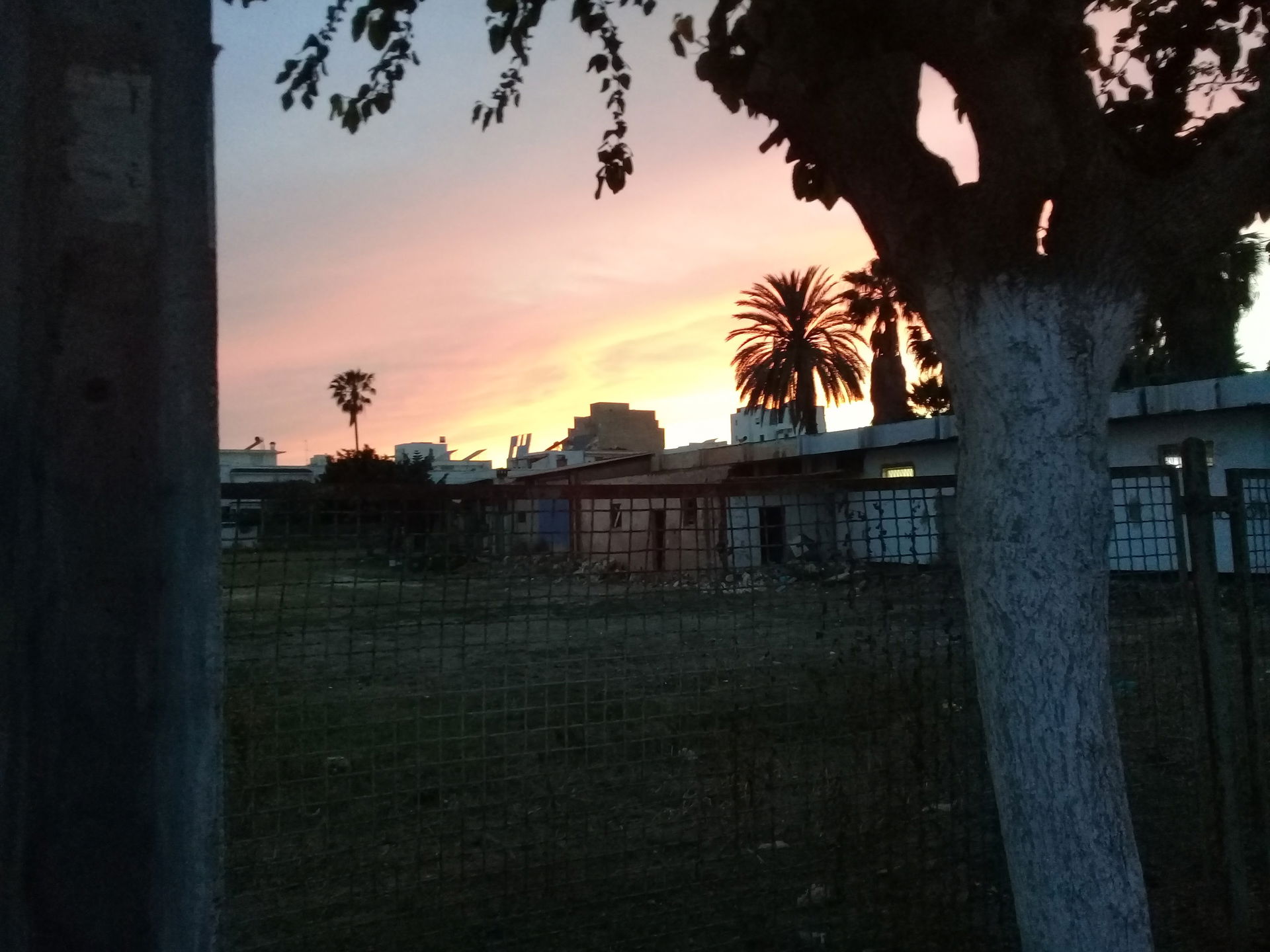 Sunset in Nabeul, Tunisia
