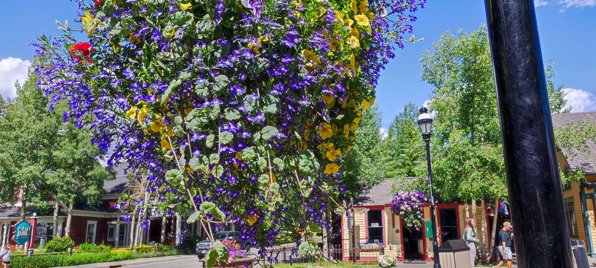 A scene from colorful Breckenridge in July