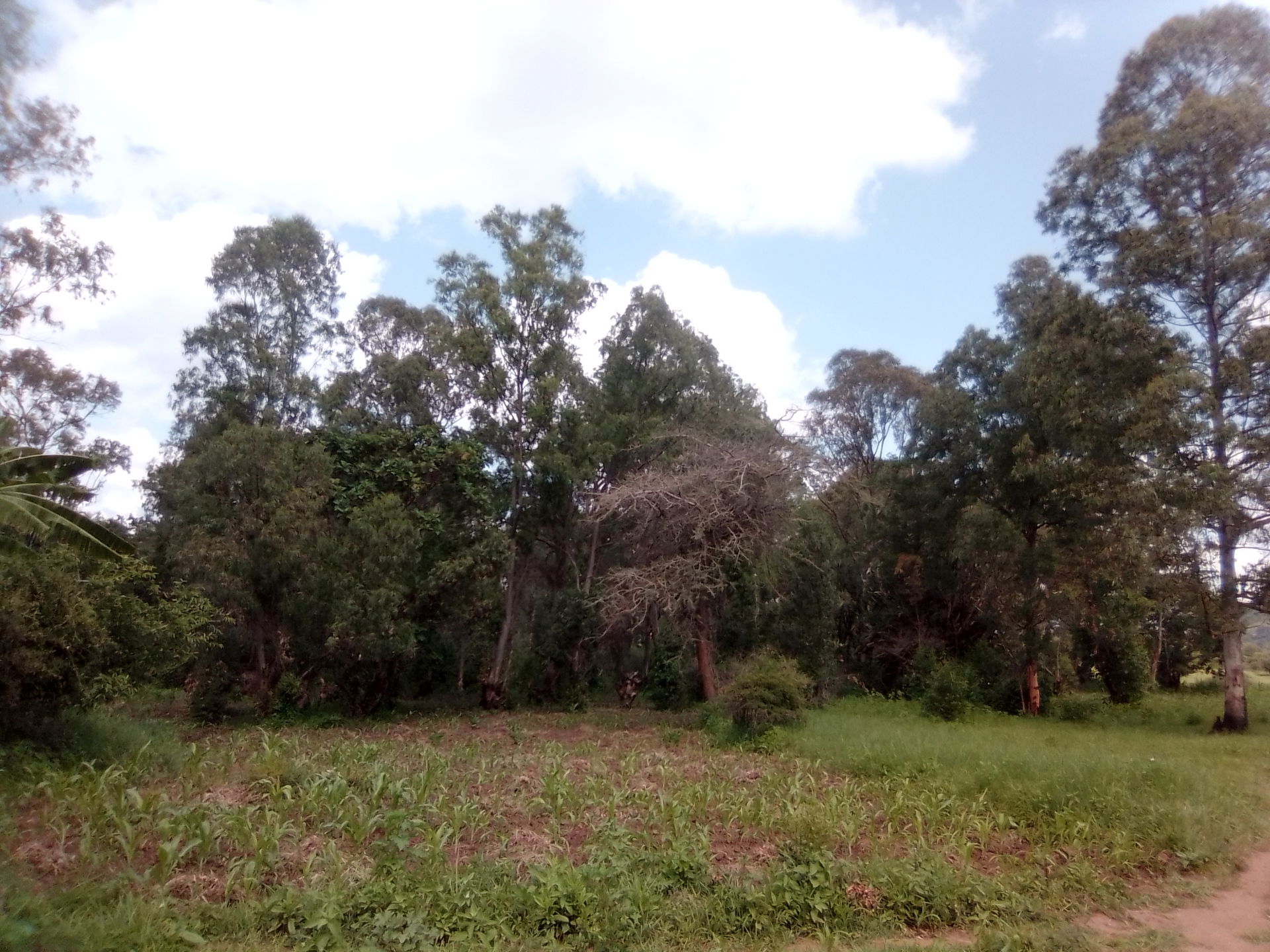 A forest reserve Located West of Kaabong Hospital and Kaabong S…