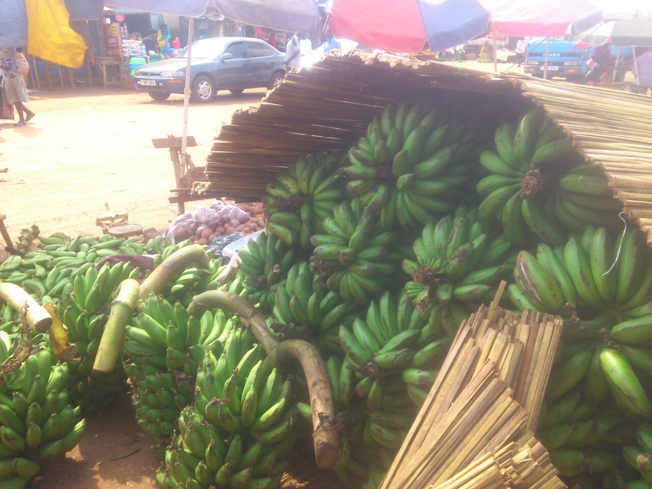 Fresh food: matoke