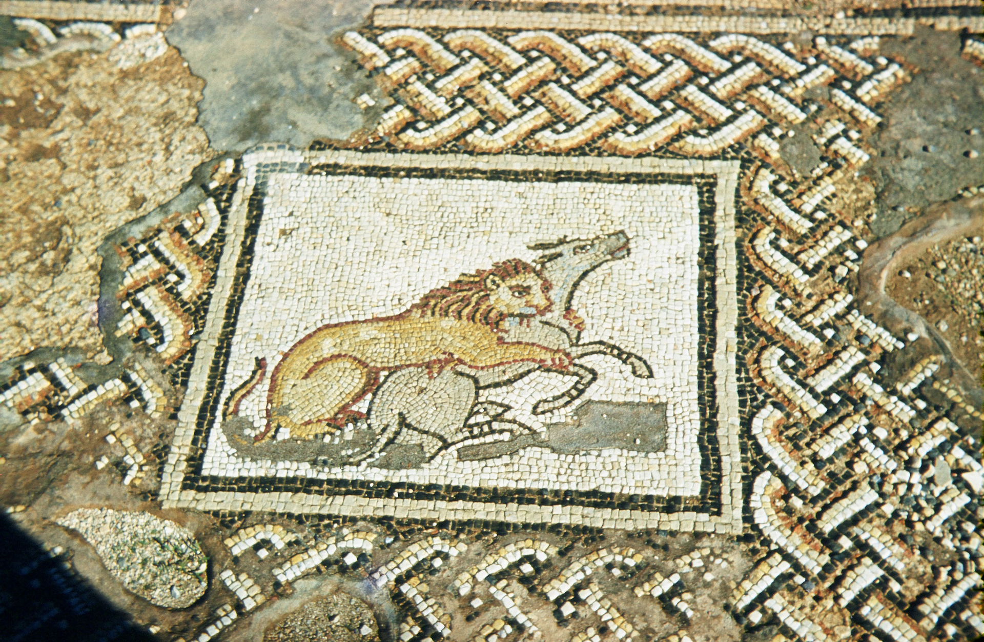 A photograph taken in Ptolemais, Libya