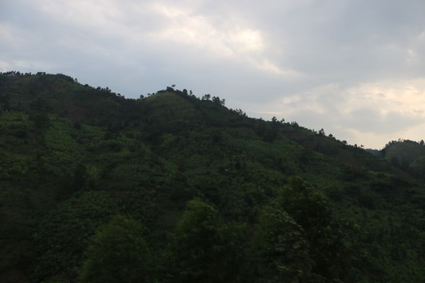 Kanungu