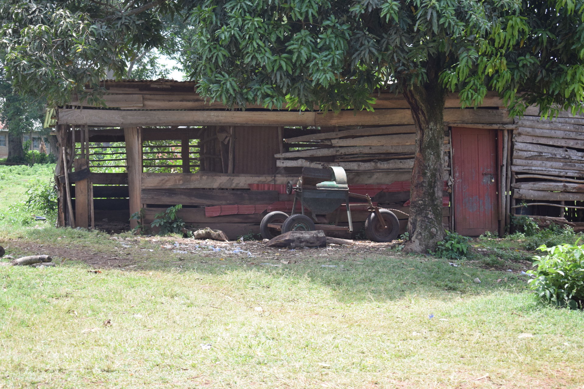 This is a habitant where goats are kept in Kayunga
