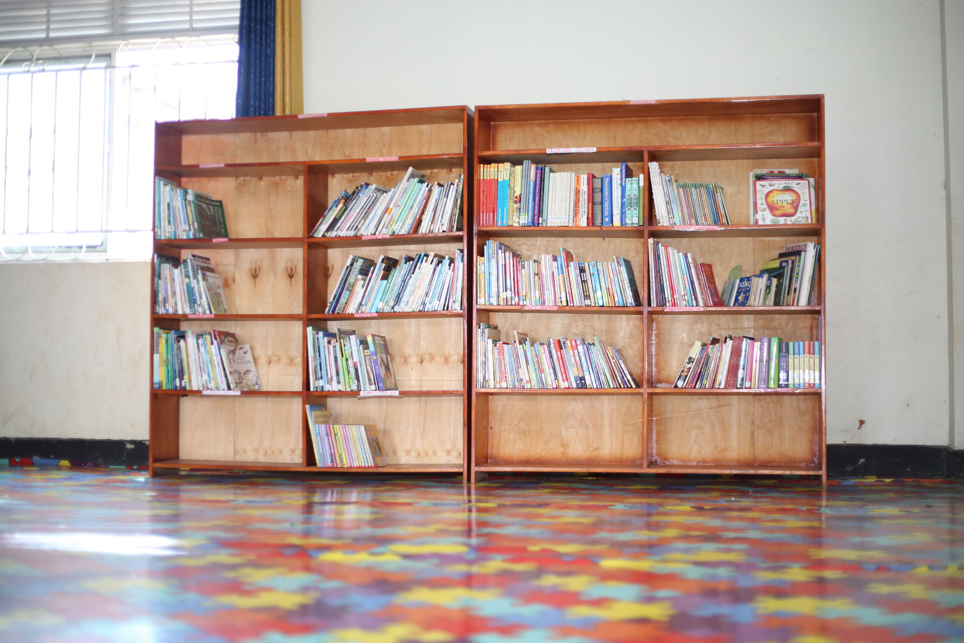 Bookshelves at Mansueto Library, Kiboga
