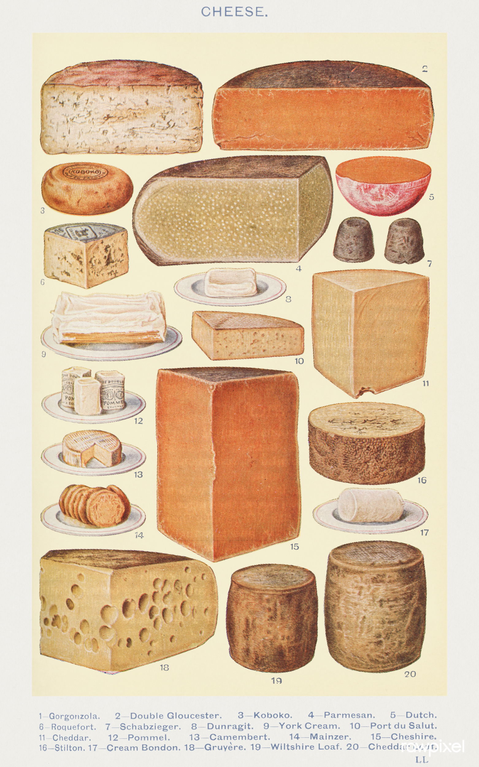 Cheeses: Gorgonzola, Double Gloucester, Koboko, Parmesan, Dutch…