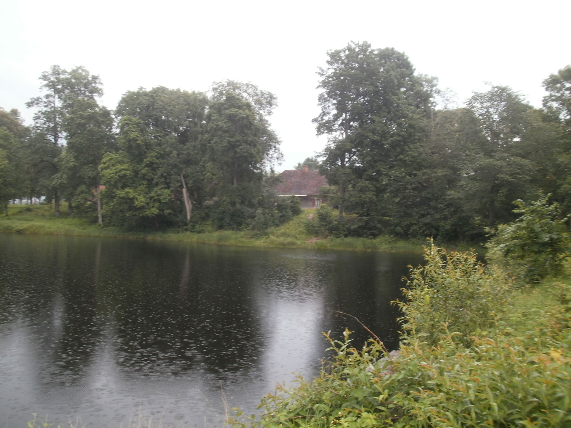 Mõisatiik ja linnusevalli läänekülg, 2014 juuli.